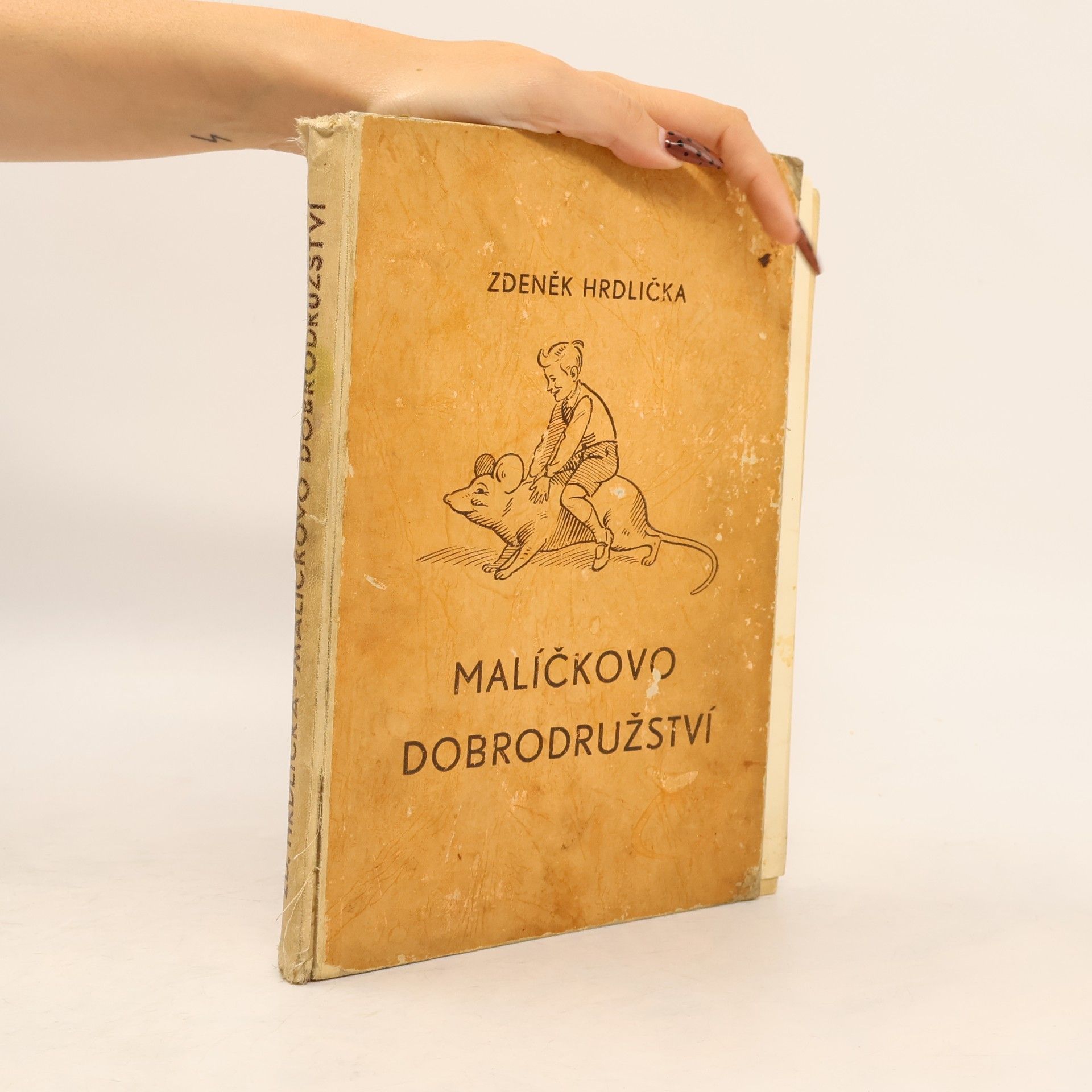 Malíčkovo dobrodružství