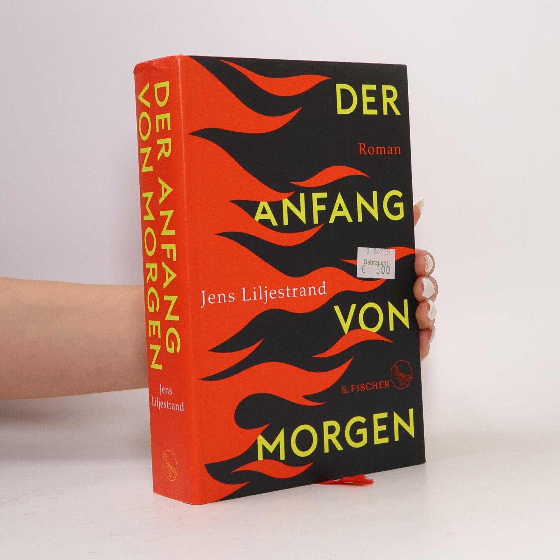 Jens Liljestrand Der Anfang von Morgen