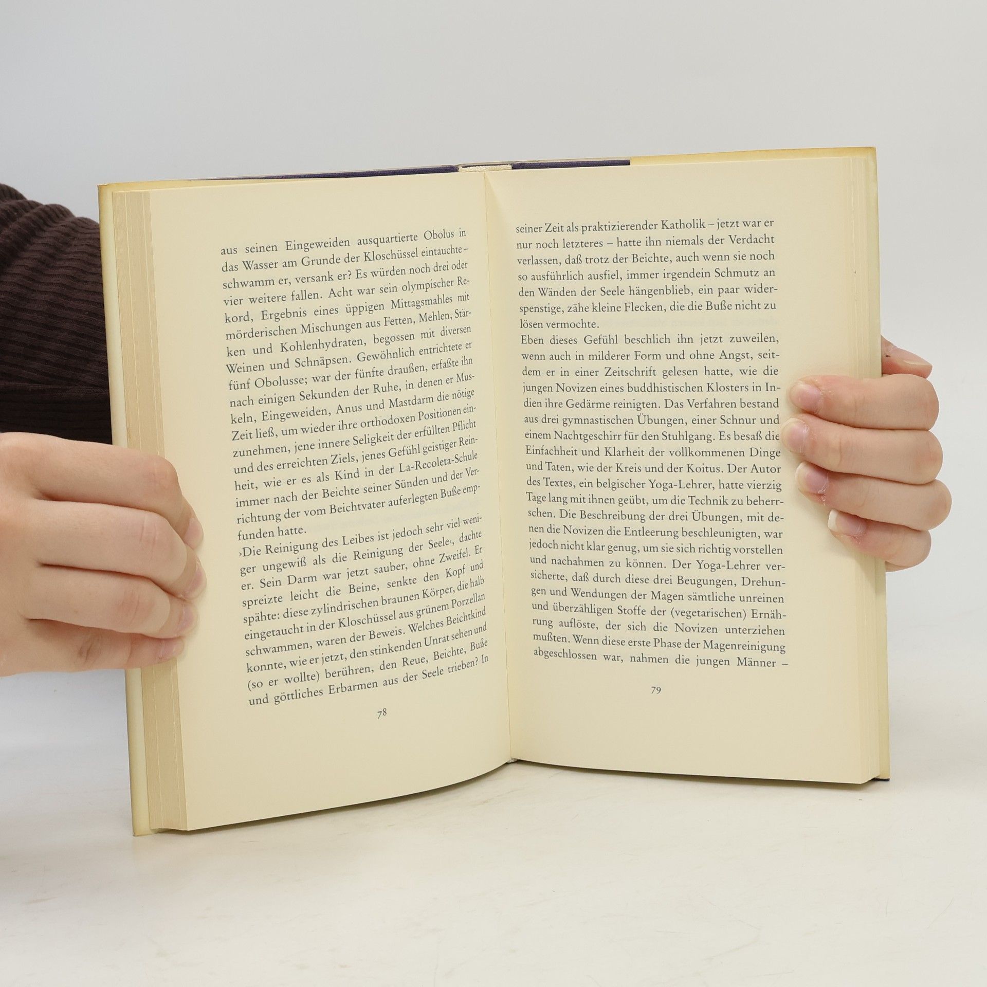 Mario Vargas Llosa Lob der Stiefmutter