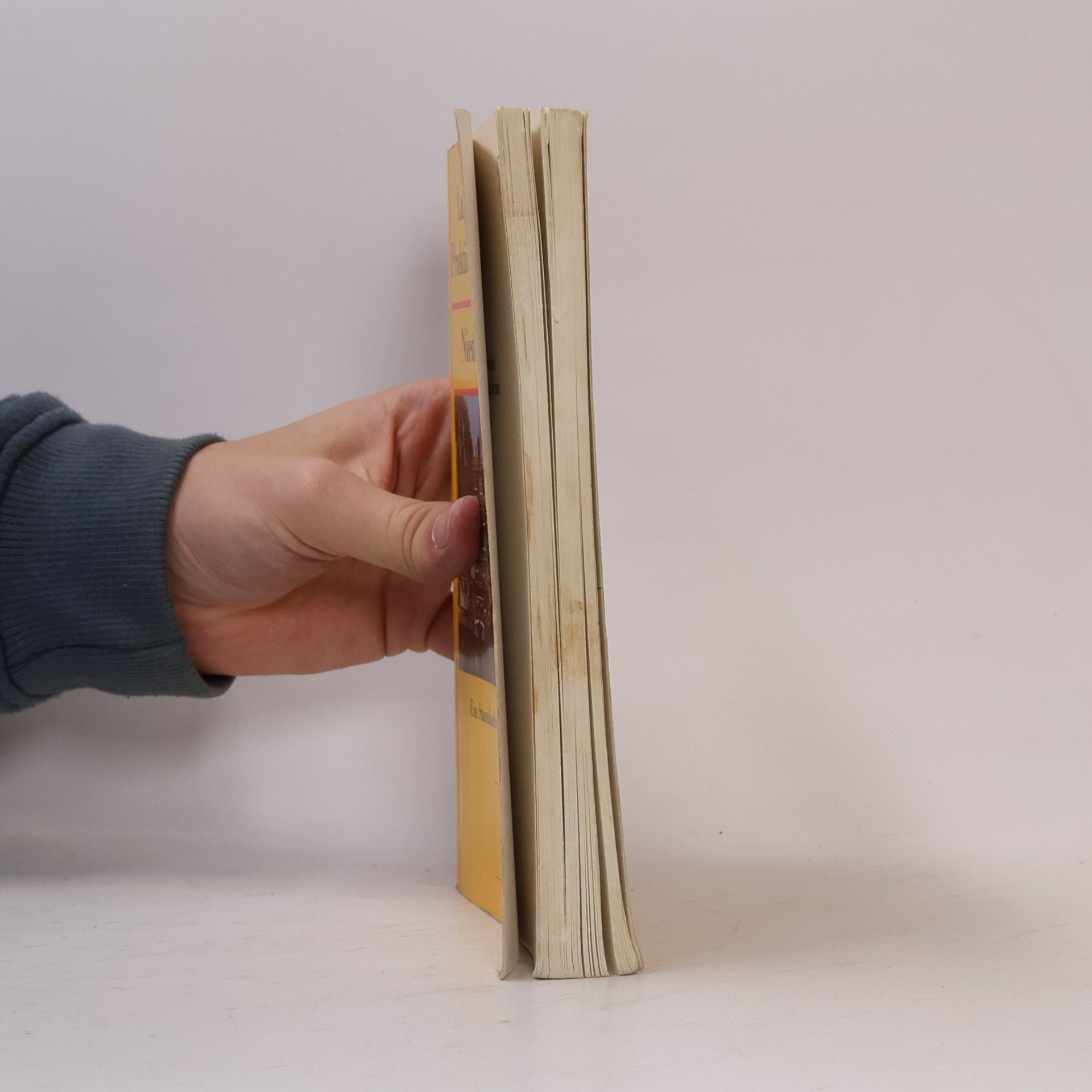 Jacob Marius Jalink Langenscheidts praktisches Lehrbuch Niederländisch