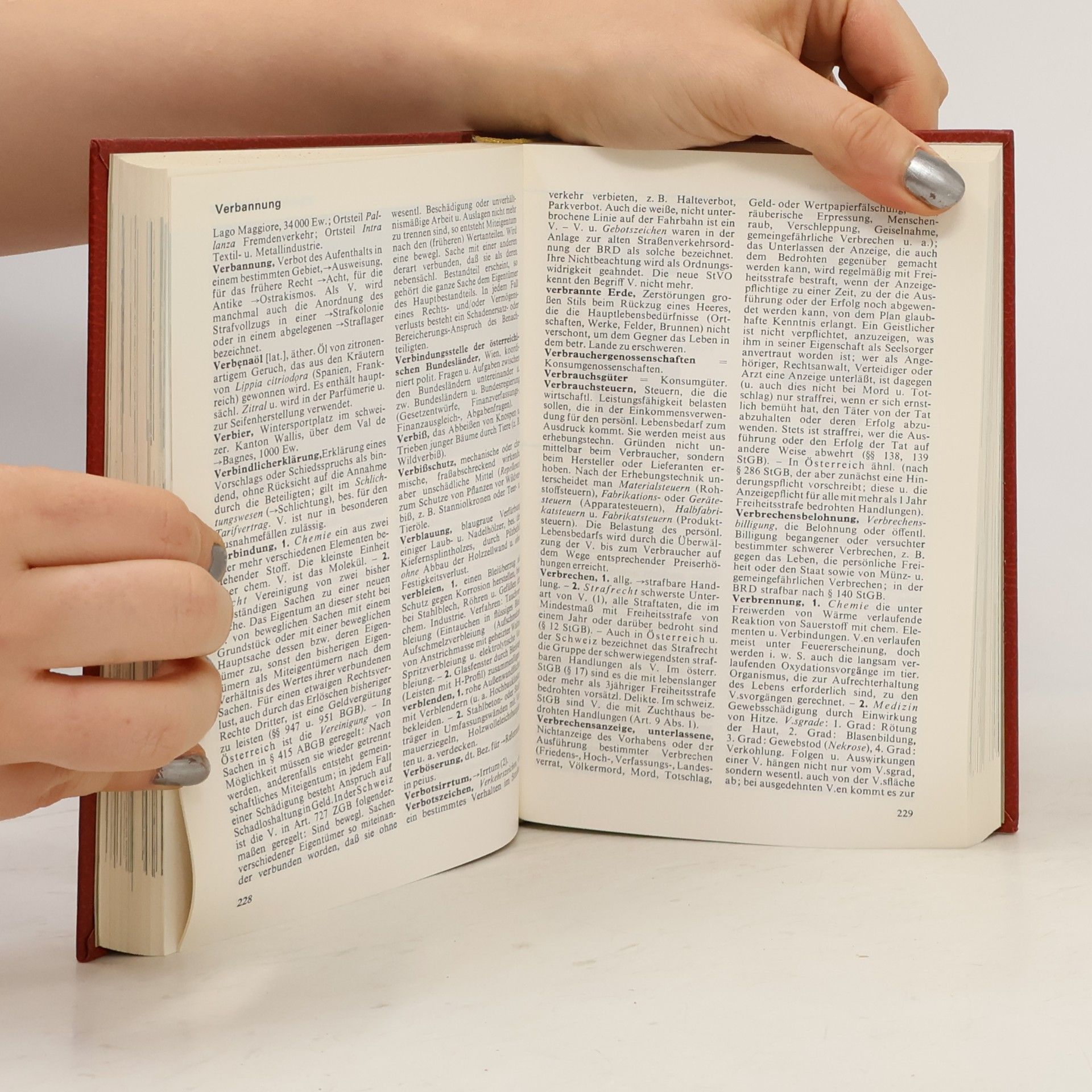 Autorenkollektiv Das moderne Lexikon 19. Triep-Wahl