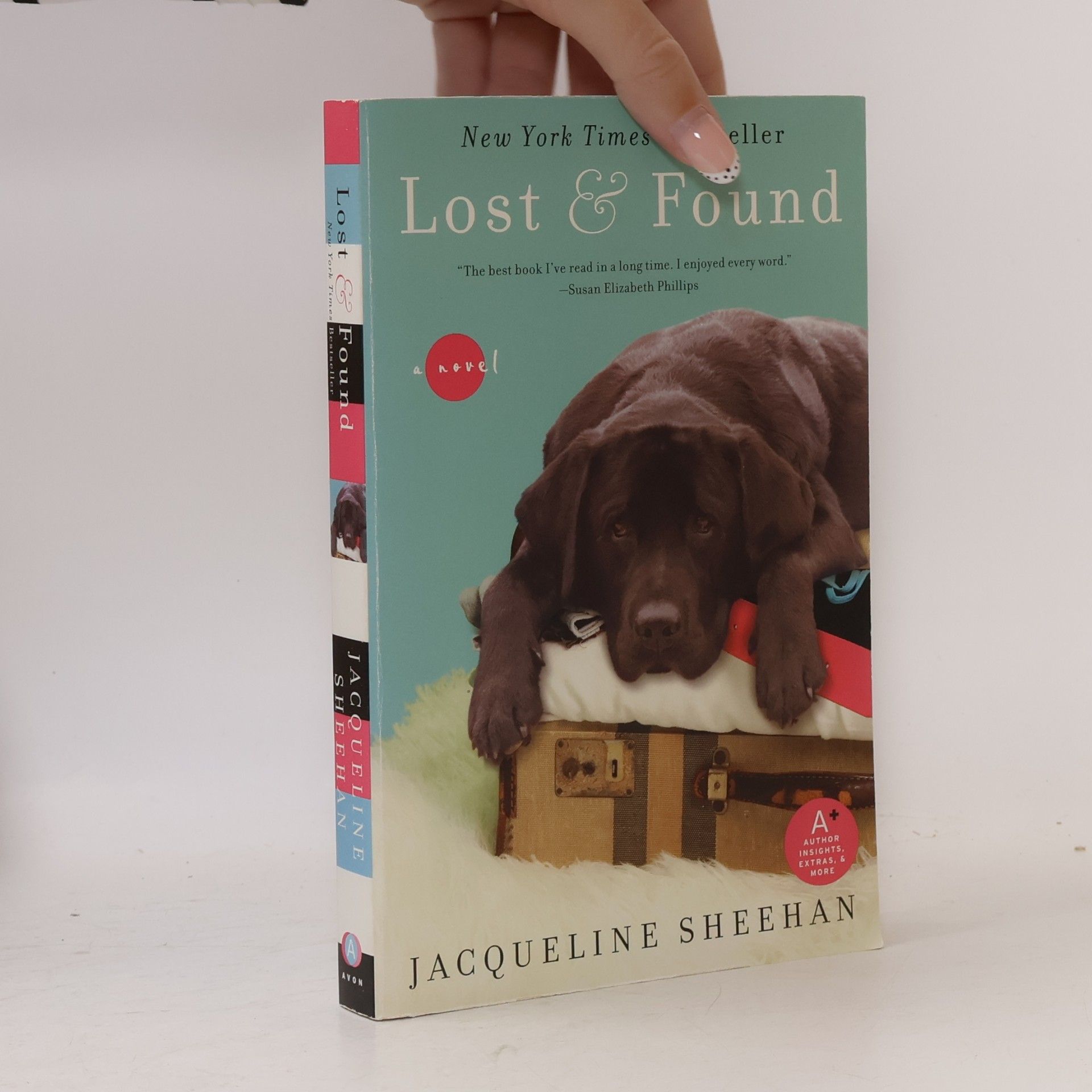 Jacqueline Sheehan Lost & Found
