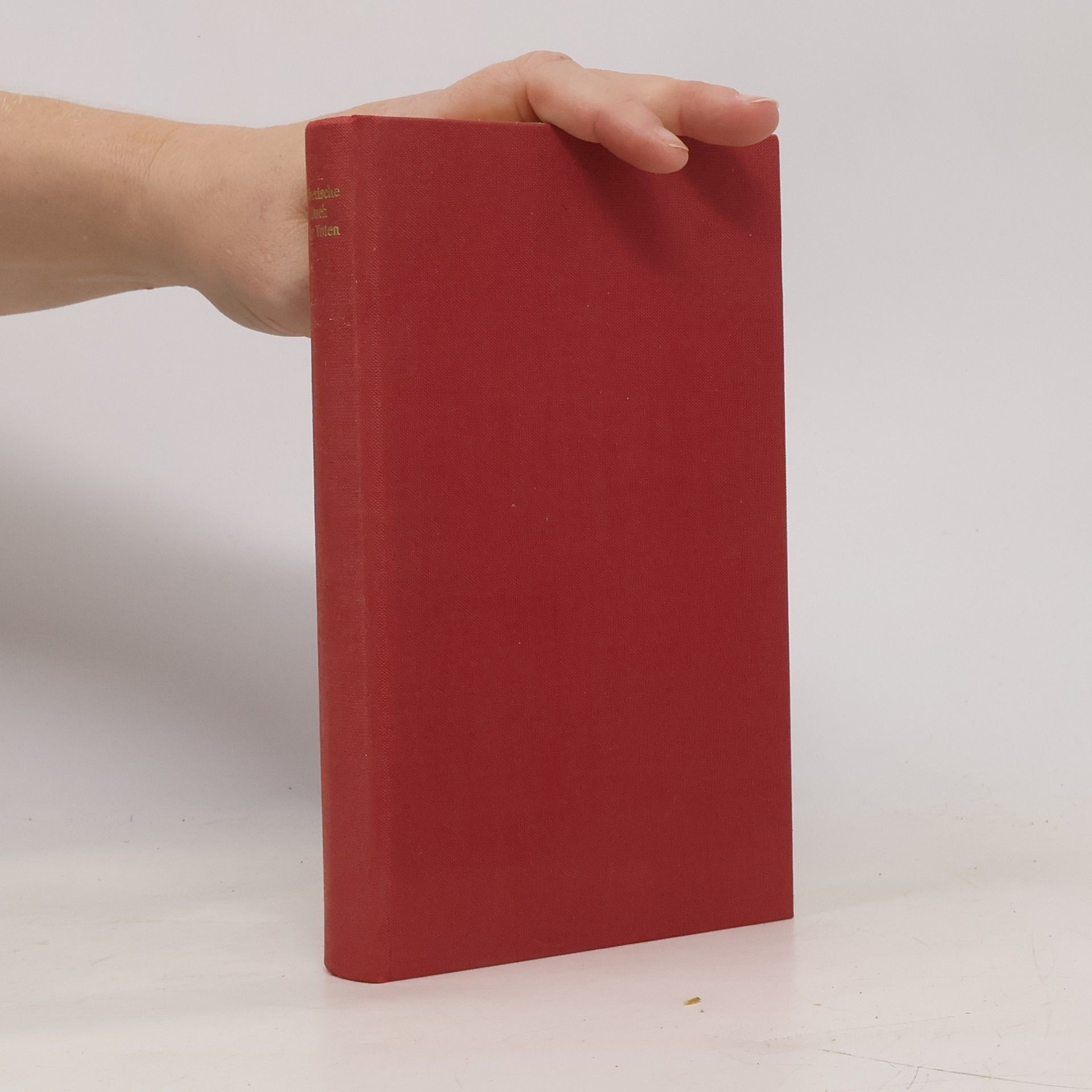 Collectif d'auteurs Das ägyptische Totenbuch