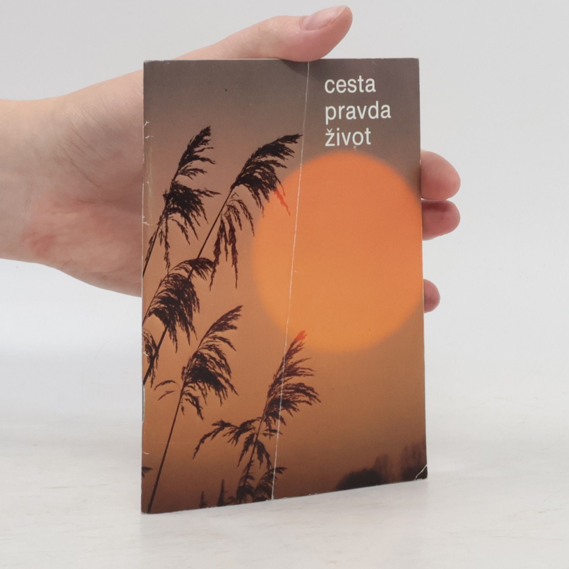 Kolektiv autorů Cesta pravda život