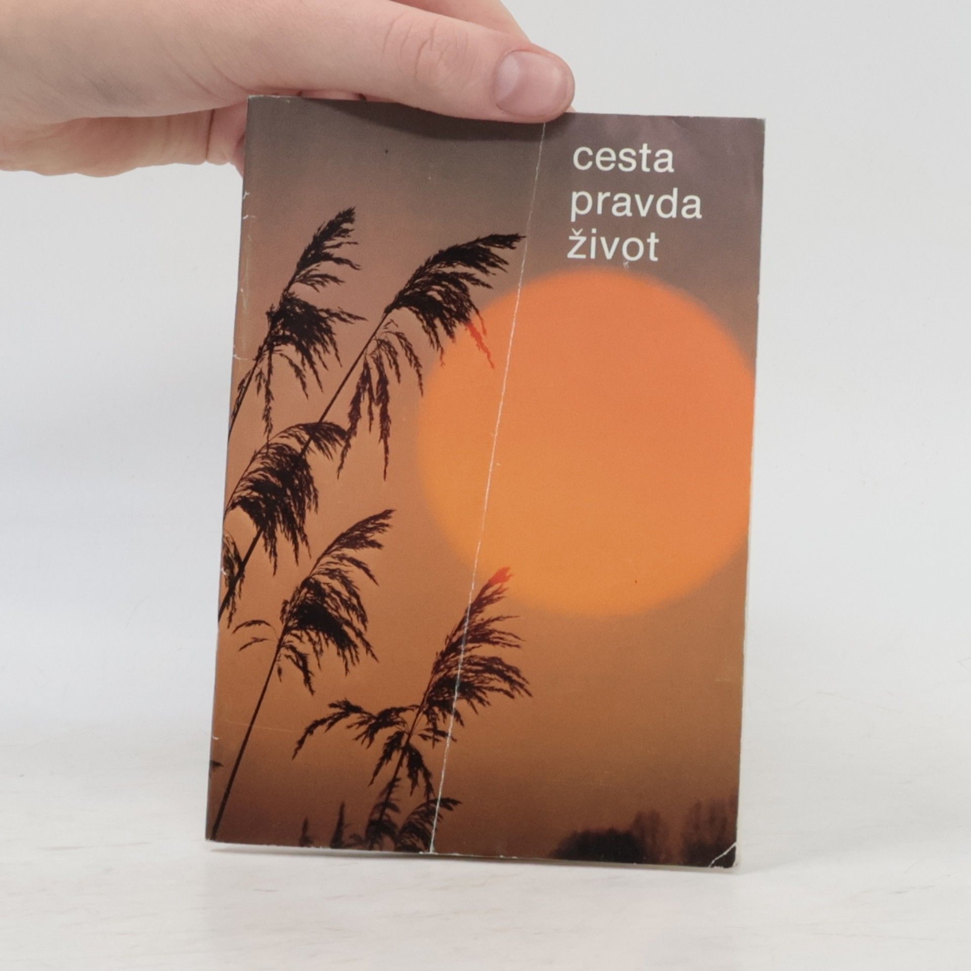 Kolektiv autorů Cesta pravda život
