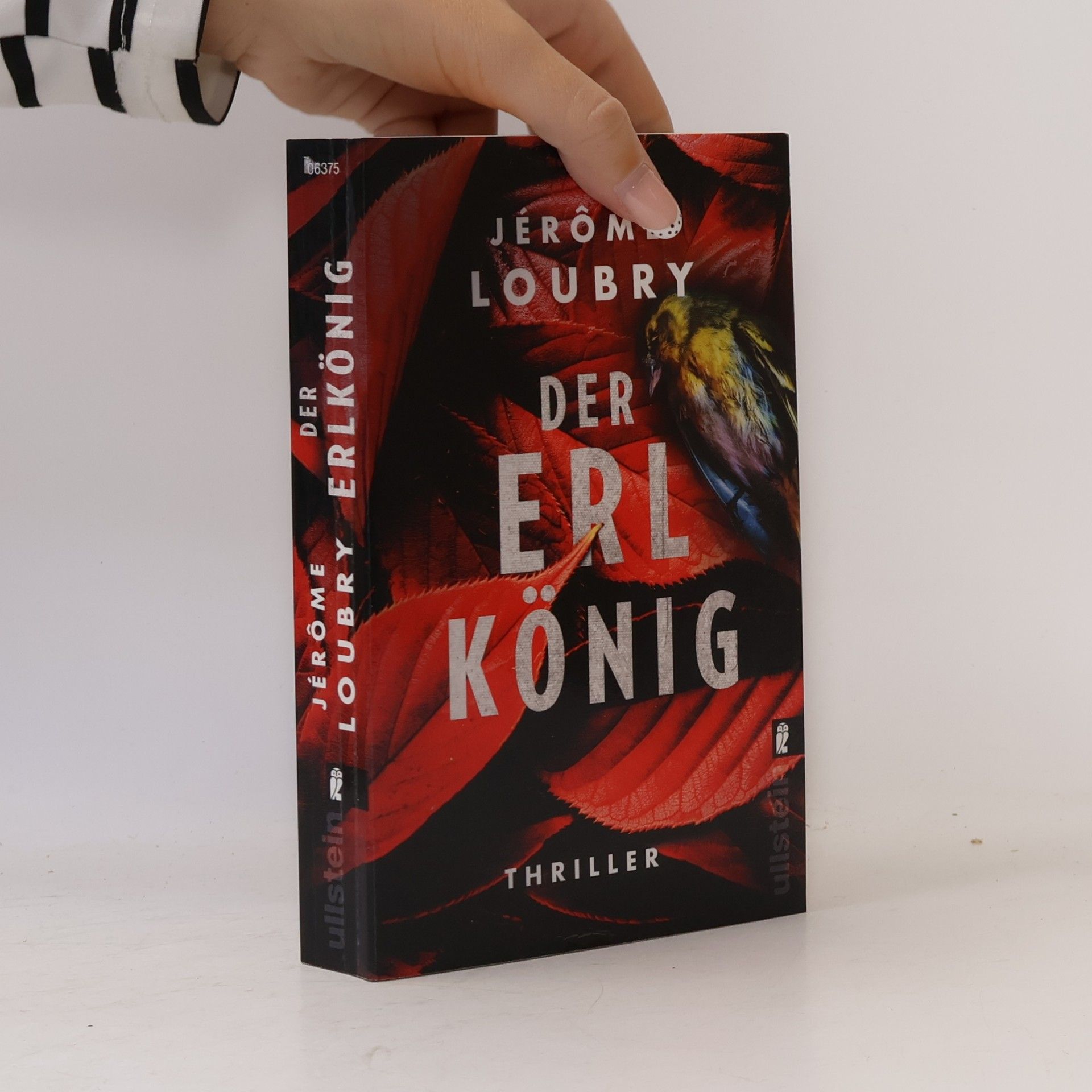 Jérôme Loubry Der Erlkönig