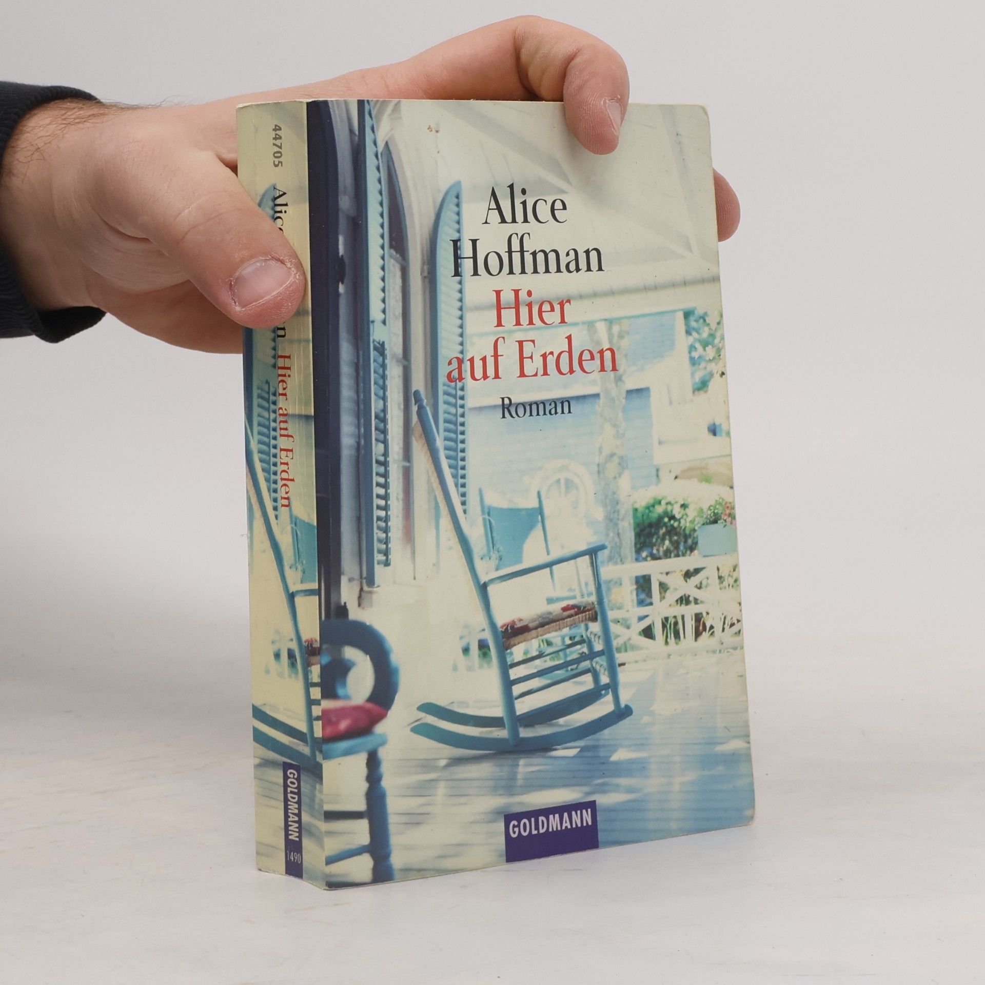 Alice Hoffman Hier auf Erden