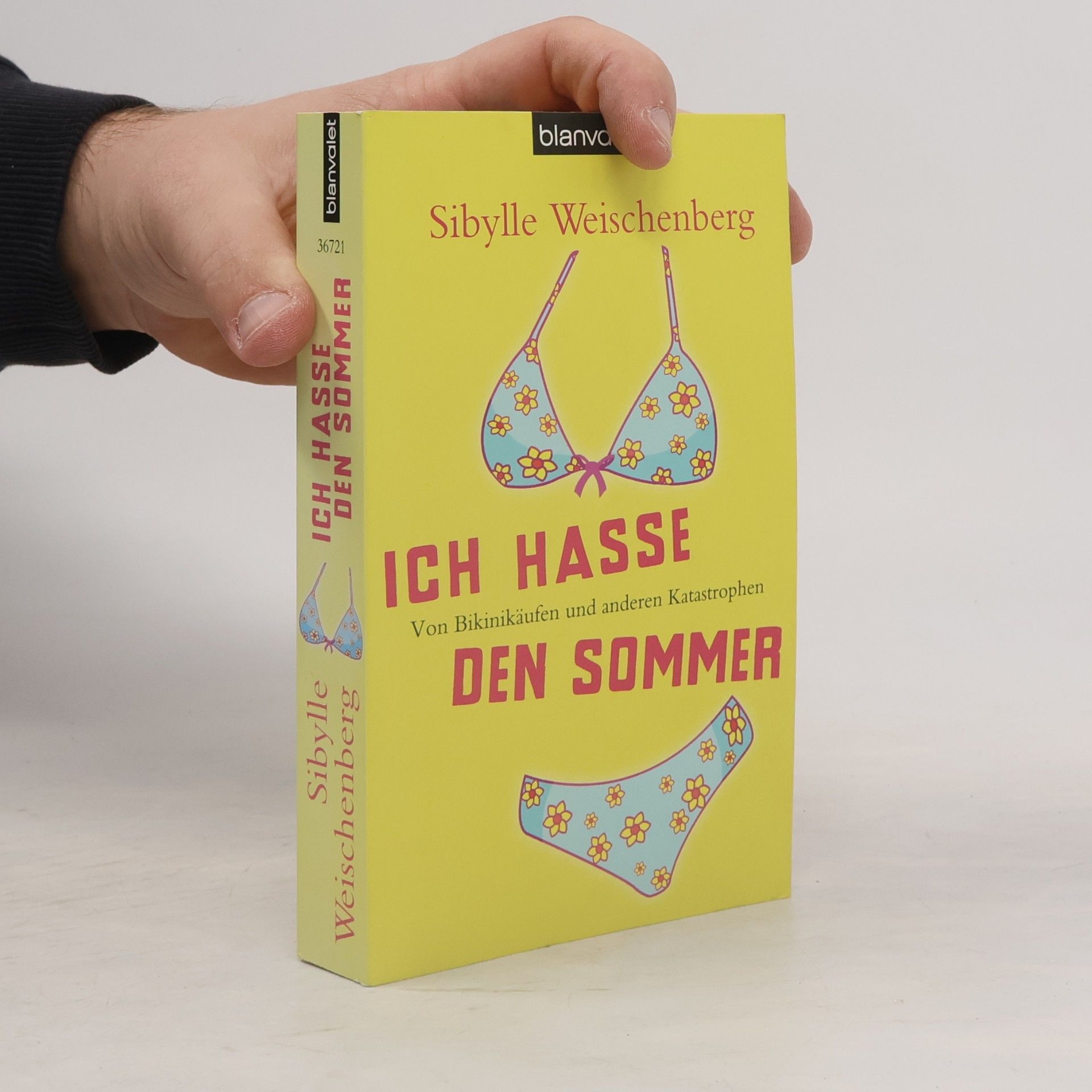 Sibylle Weischenberg Ich hasse den Sommer