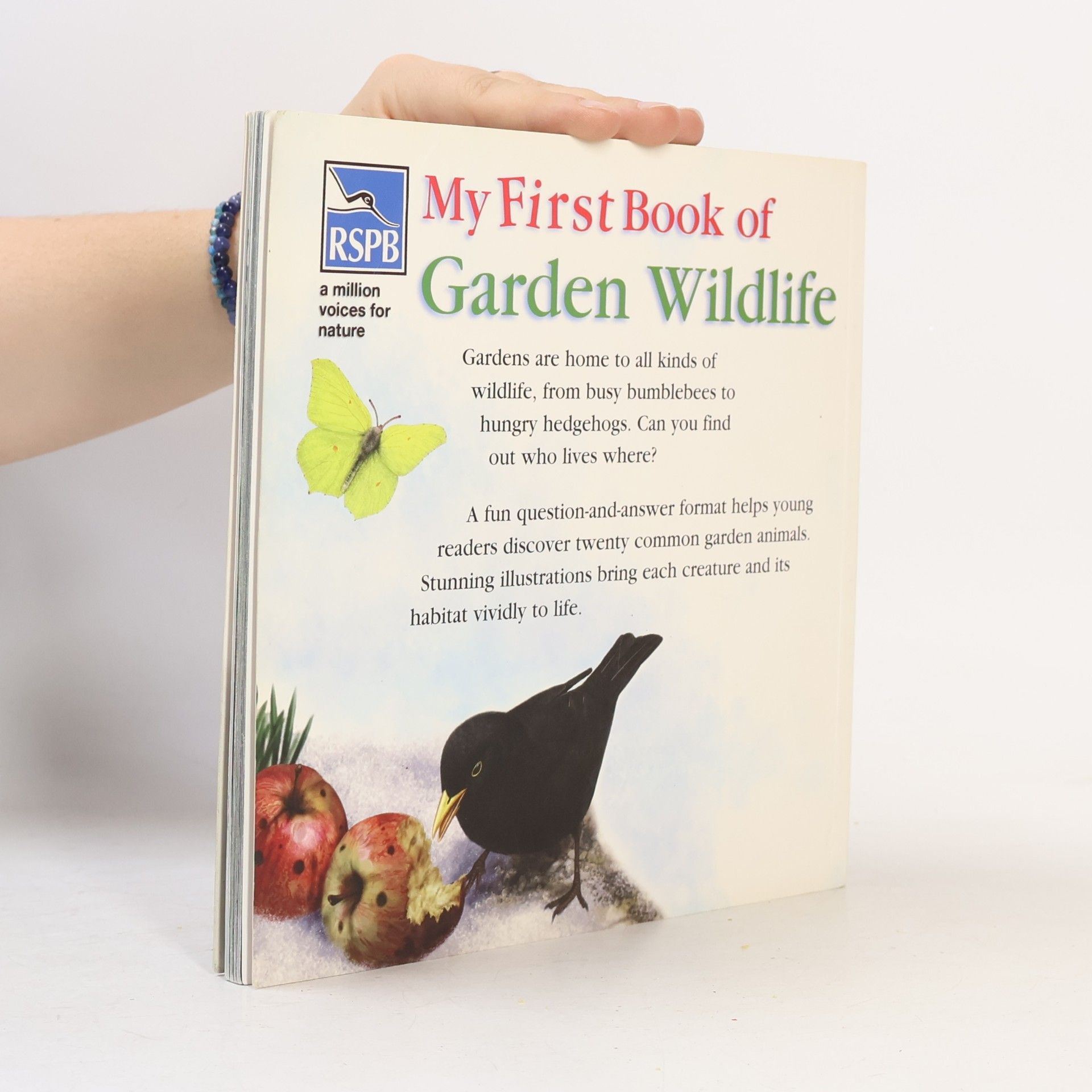 Mike Unwin My First Book of Garden Wildlife