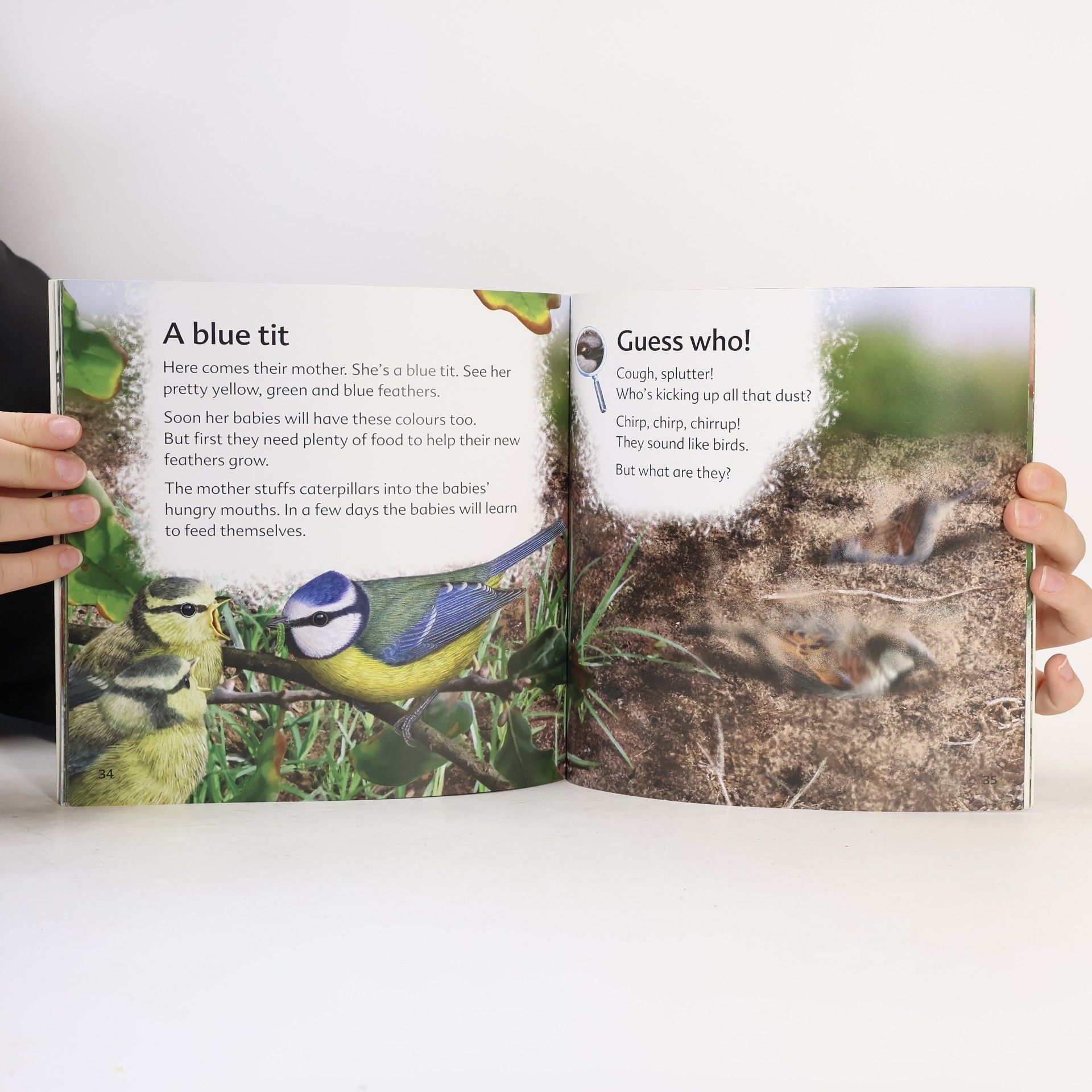 Mike Unwin My First Book of Garden Wildlife