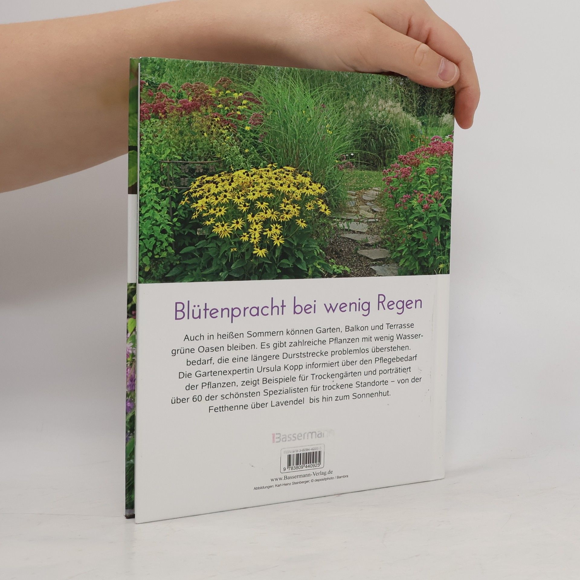 Ursula Kopp Die schönsten Pflanzen, die wenig Wasser brauchen für Garten, Balkon und Terrasse - 66 trockenheitsverträgliche Stauden, Sträuch