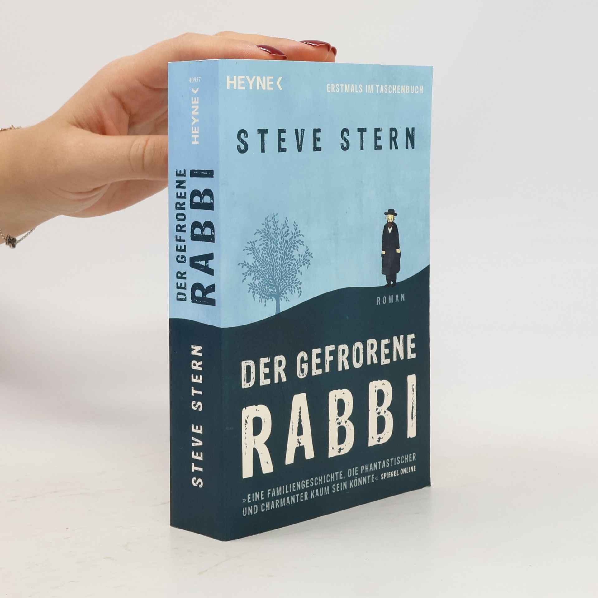Steve Stern Der gefrorene Rabbi