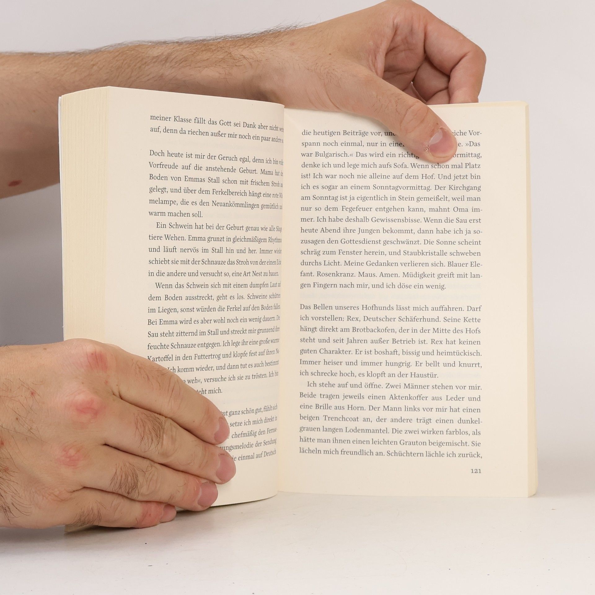 Heinz Blumensath Strukturalismus in der Literaturwissenschaft