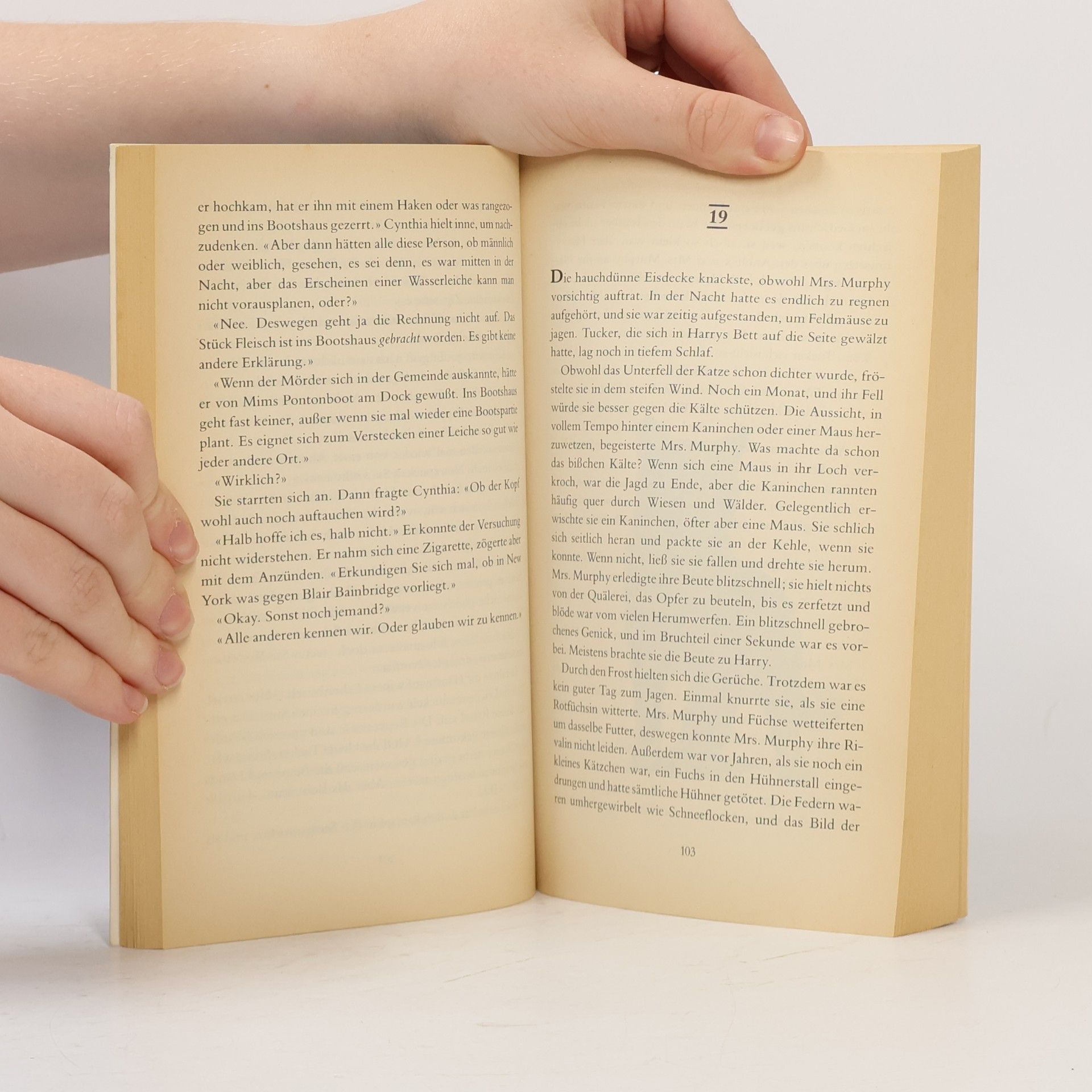 Rita Mae Brown Ruhe in Fetzen