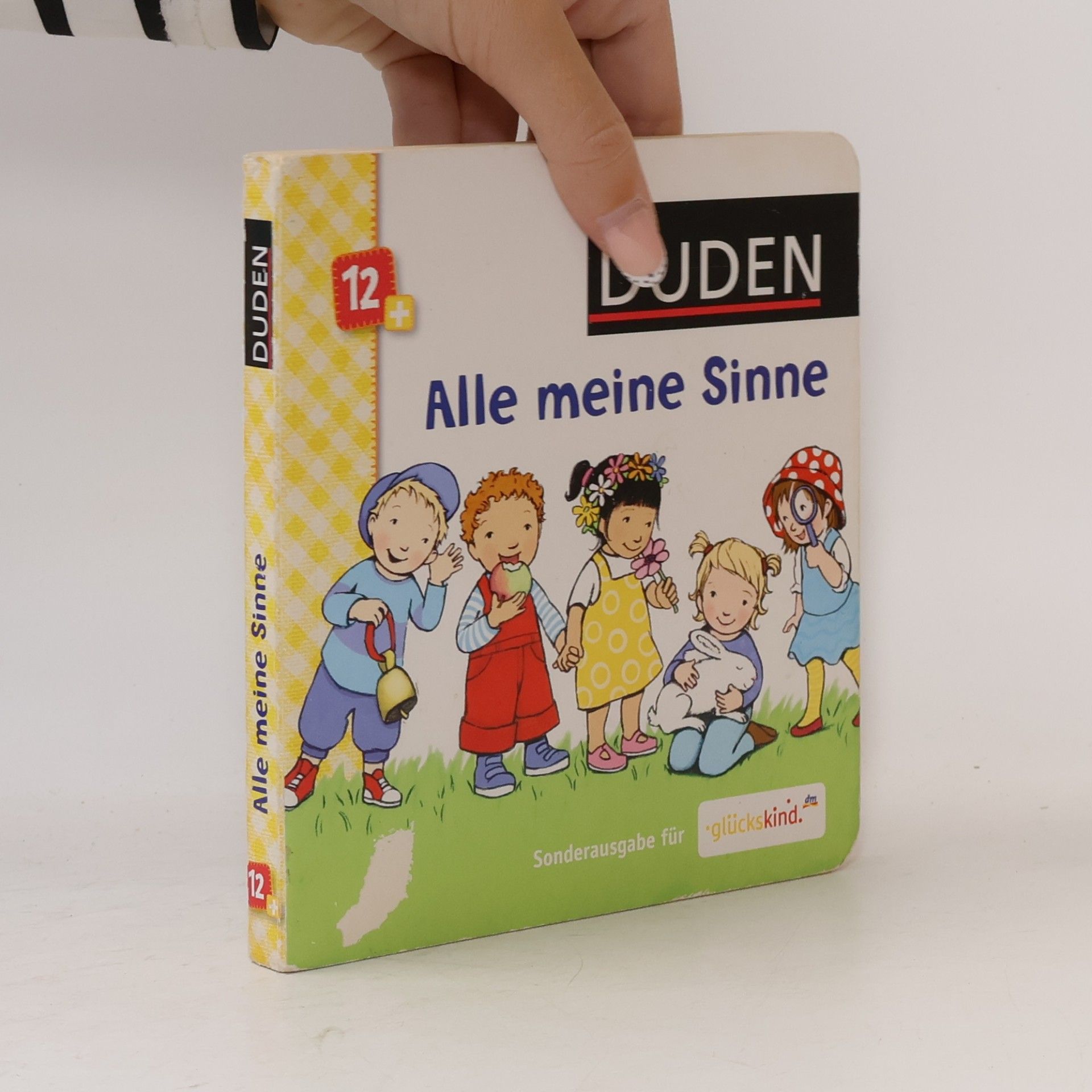 Autorenkollektiv Alle meine Sinne