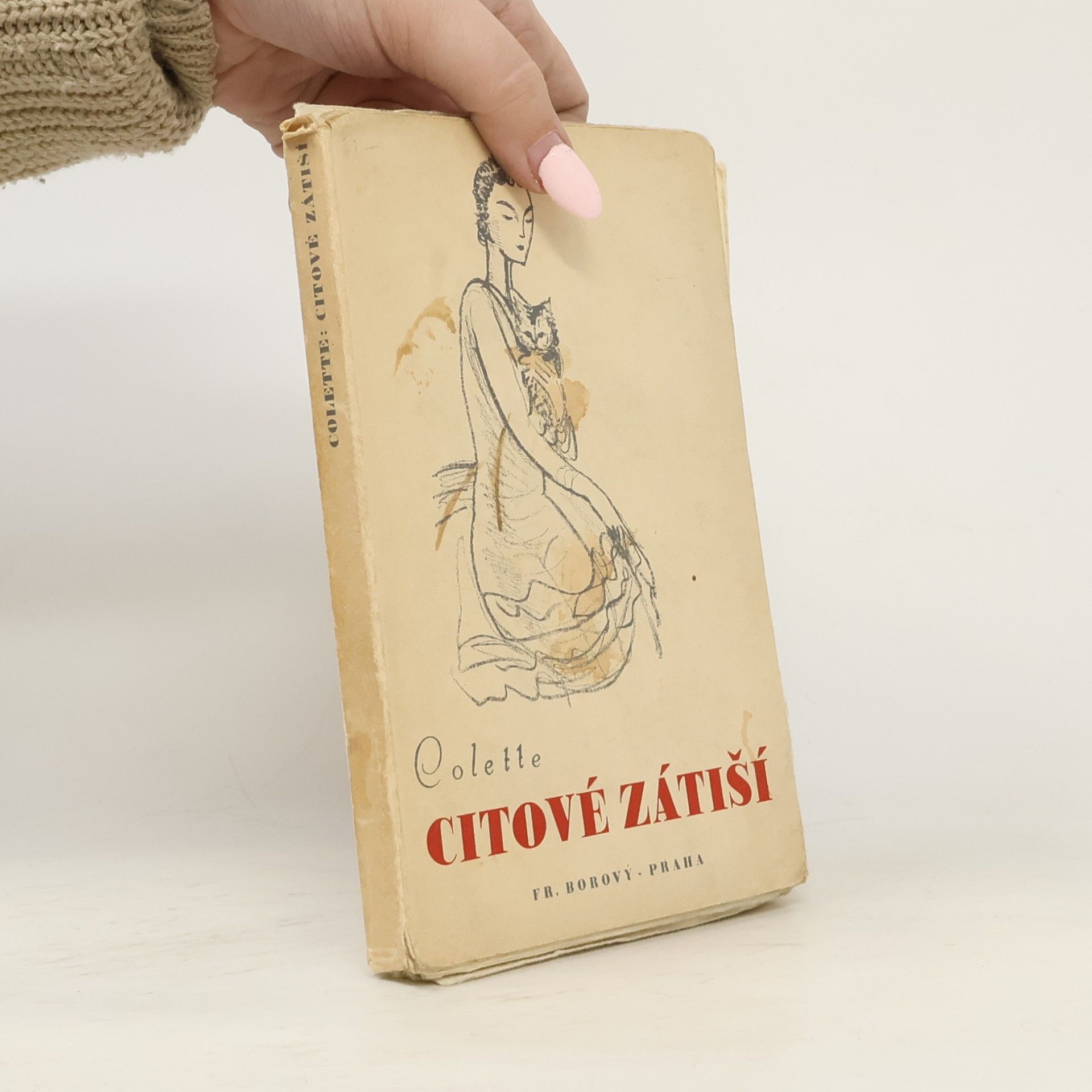 Citové zátiší