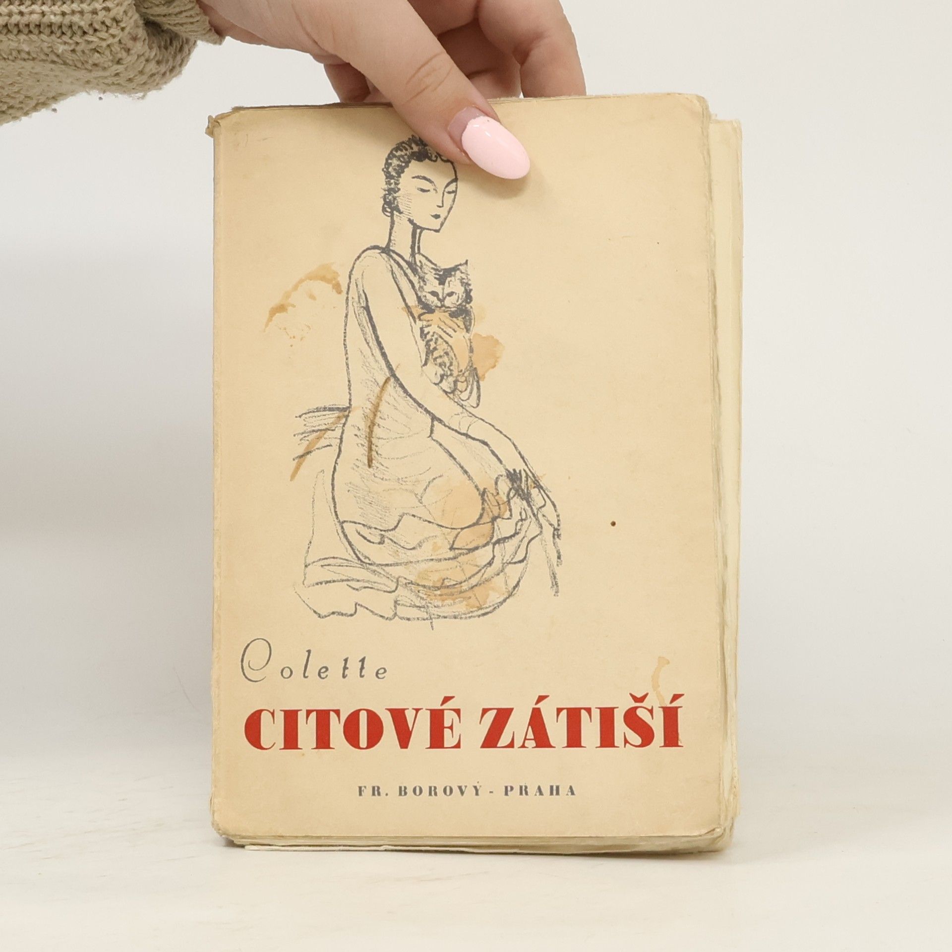 Colette Citové zátiší