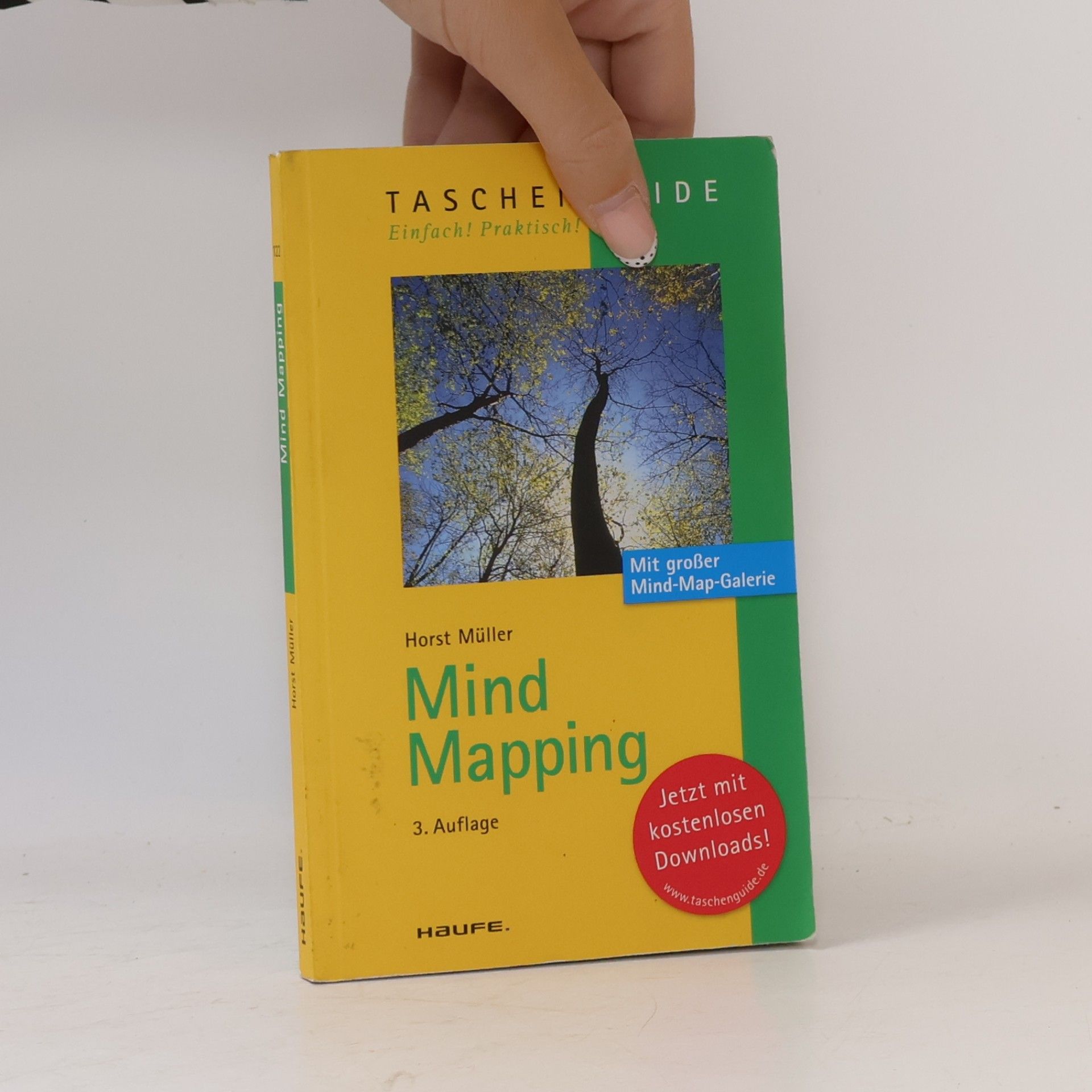 Horst Müller Mind Mapping