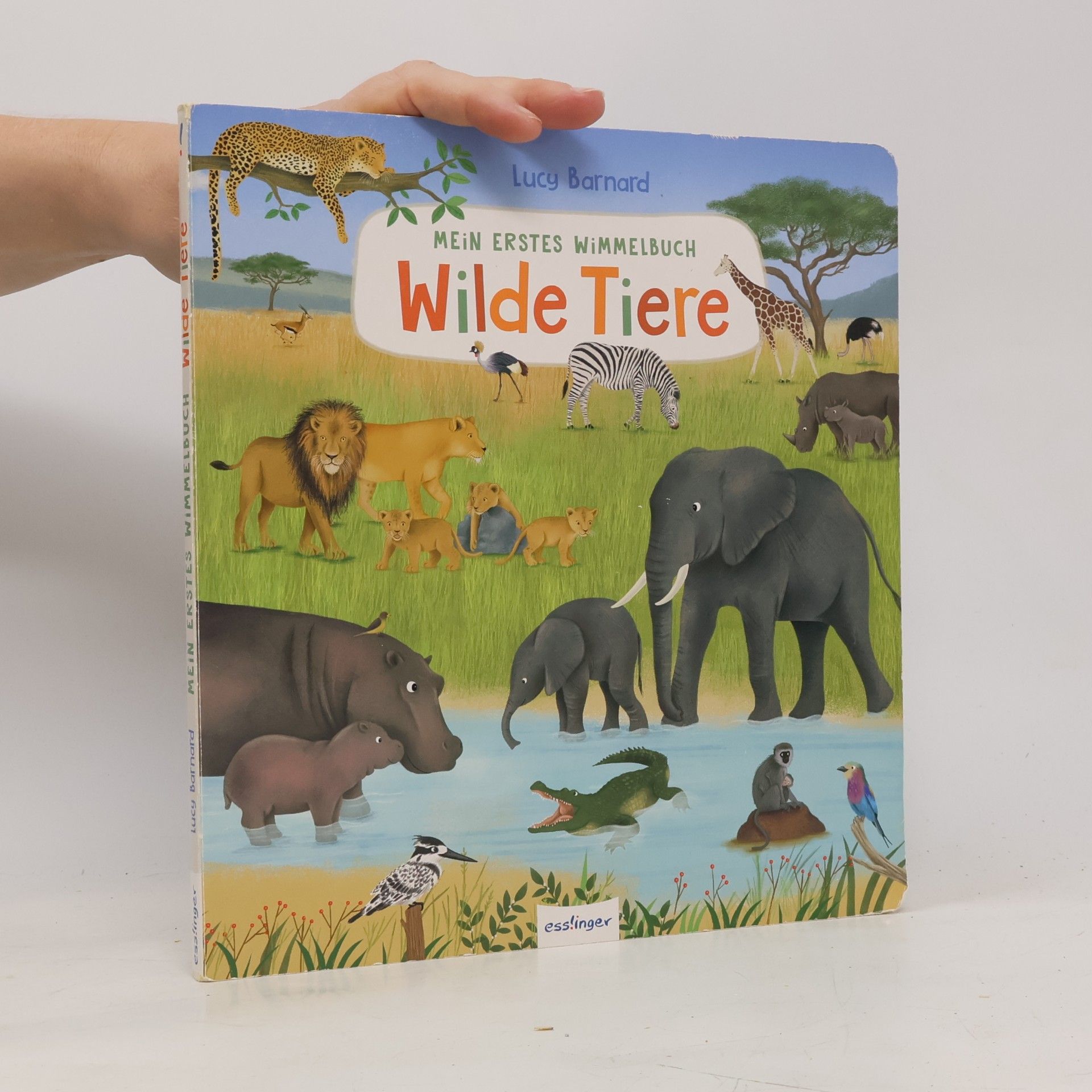 Lucy Barnard Mein erstes Wimmelbuch. Wilde Tiere