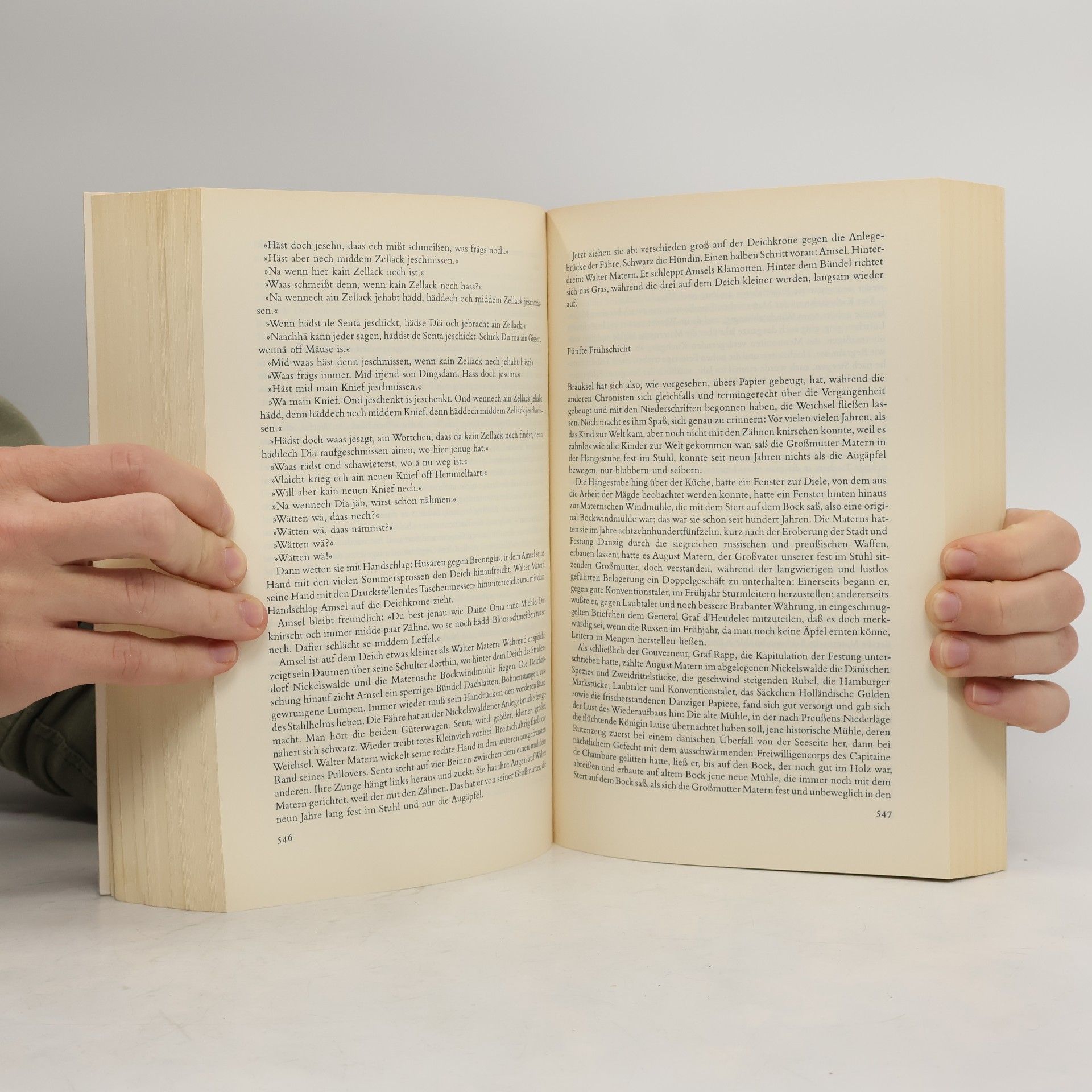 Günter Grass Danziger Trilogie