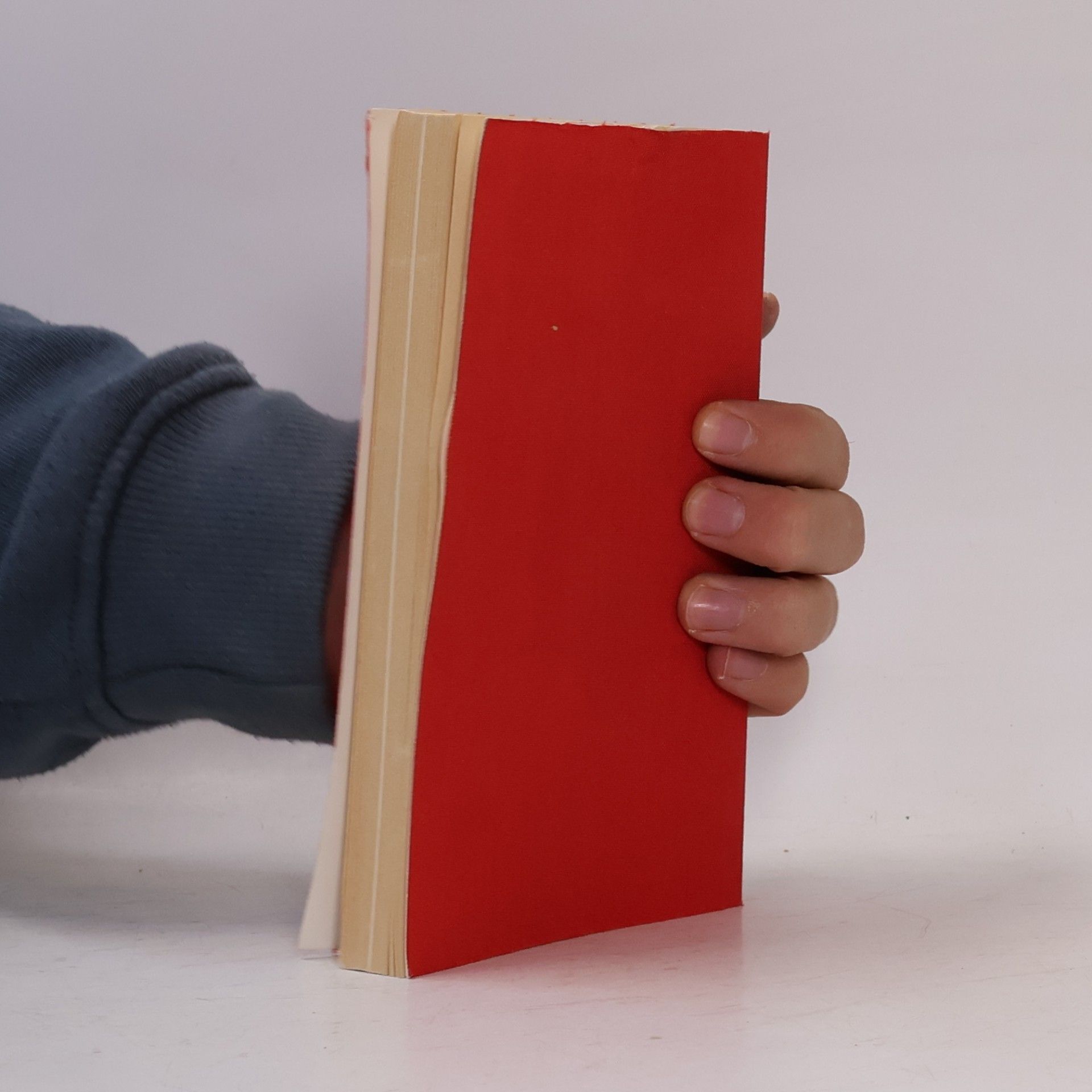 Wladimir Majakowski Werke. Prosa. Autobiographie, Reiseskizzen, Briefe IV/1