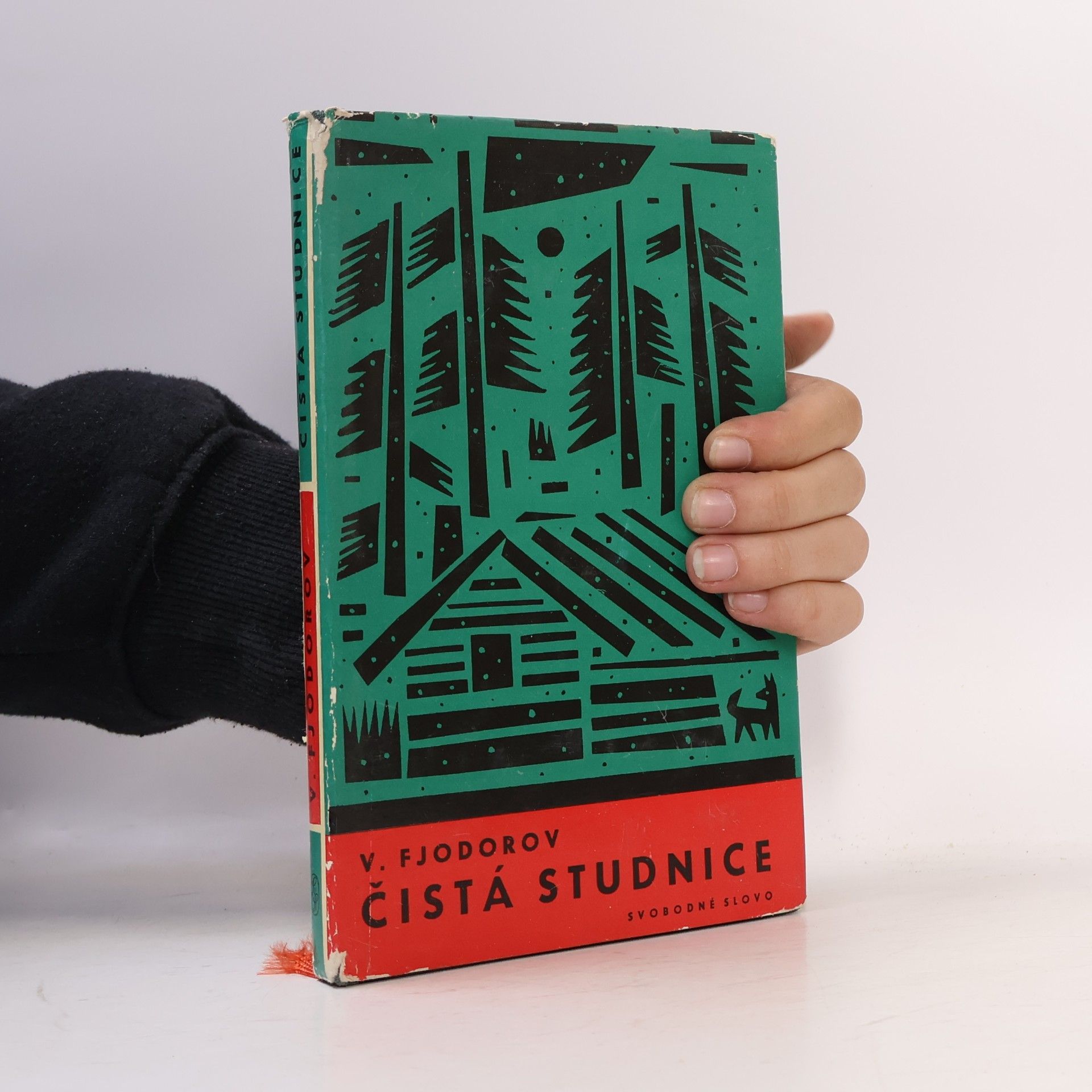 Vladimír Fjodorov Čistá studnice