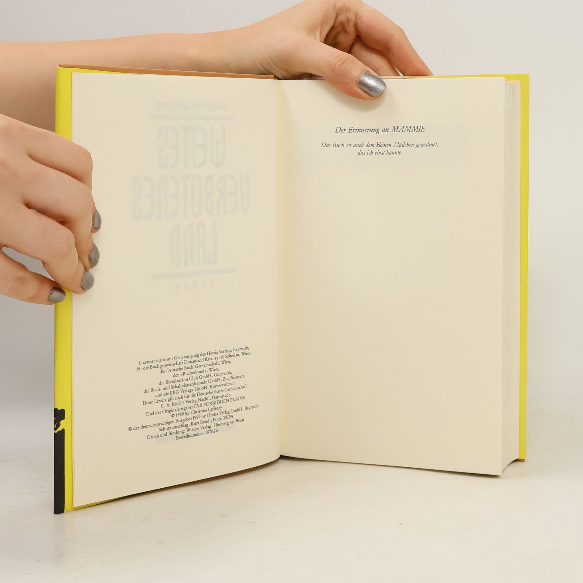 Christina Laffeaty Weites verbotenes Land