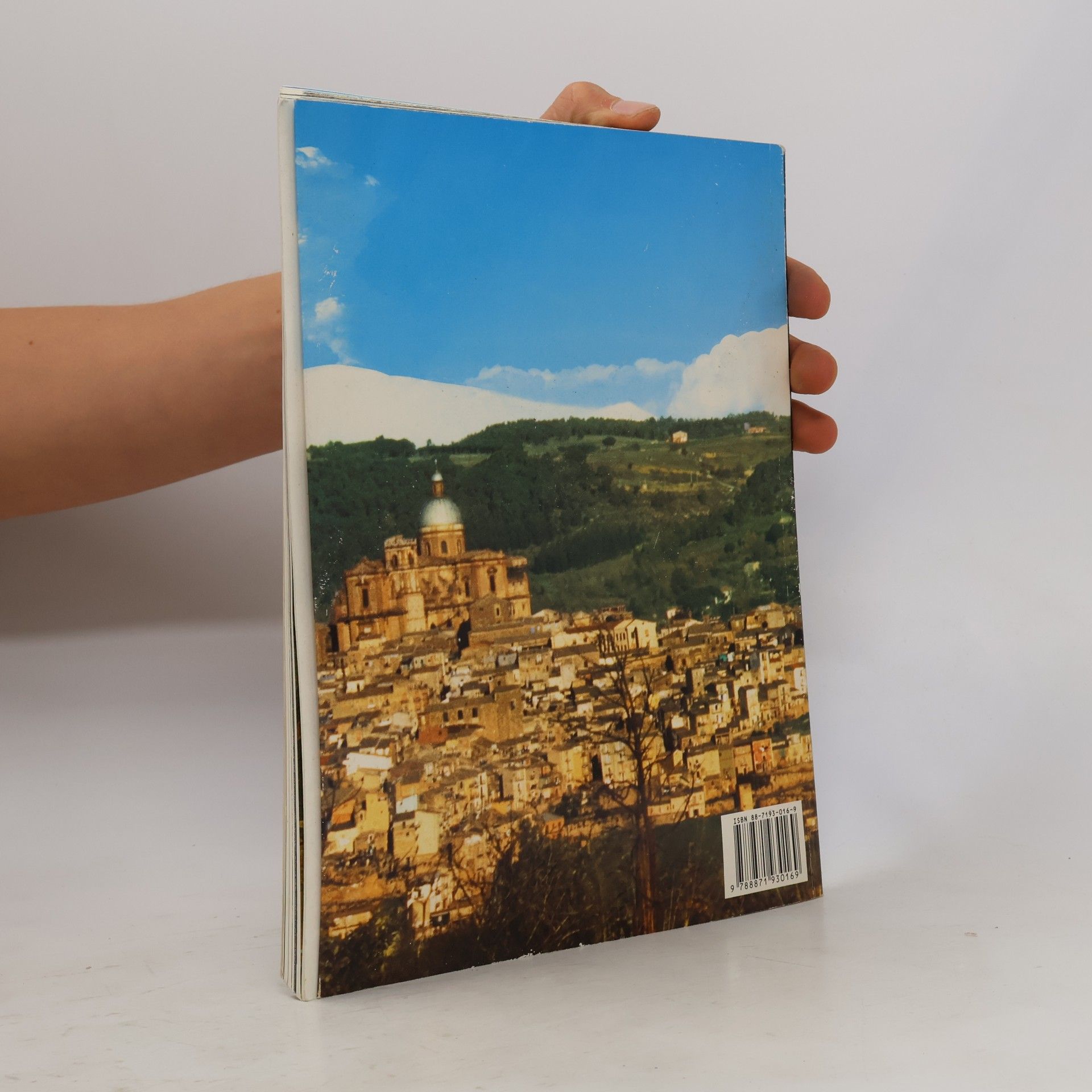 AA.VV. Piazza Armerina: Seine Mosaiken und Morgantina