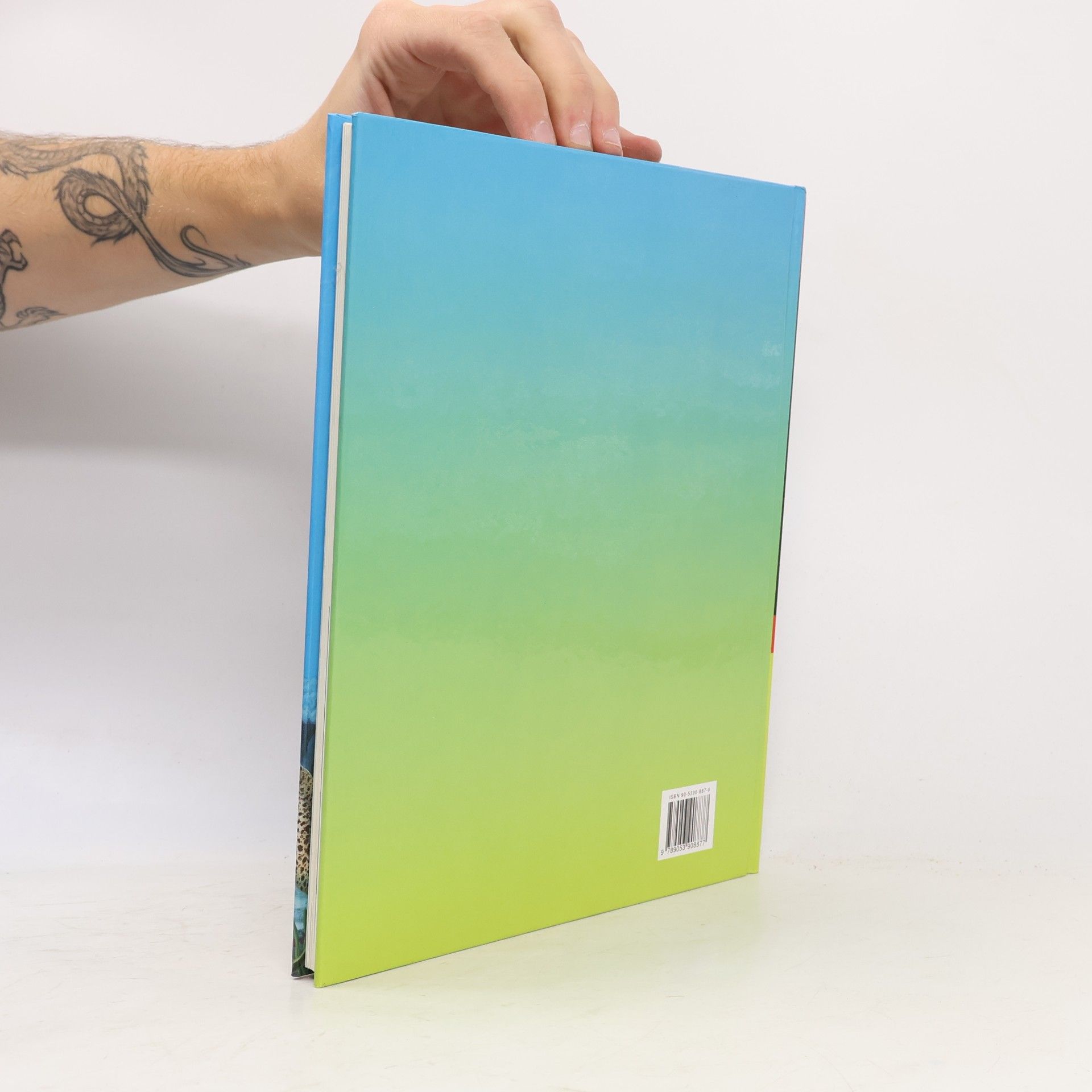 Collectif d'auteurs Die Welt der Ozeane