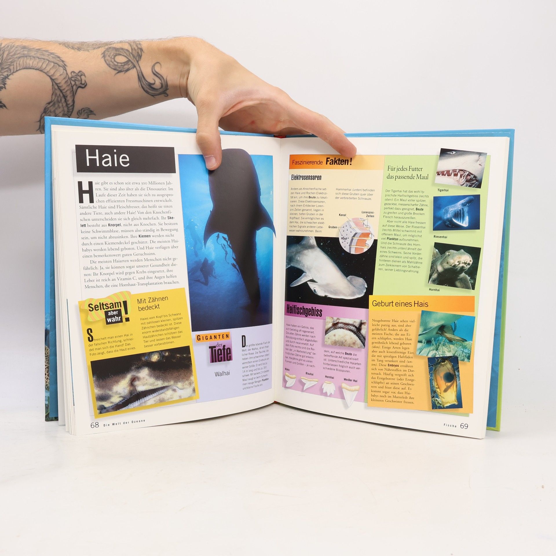 Collectif d'auteurs Die Welt der Ozeane