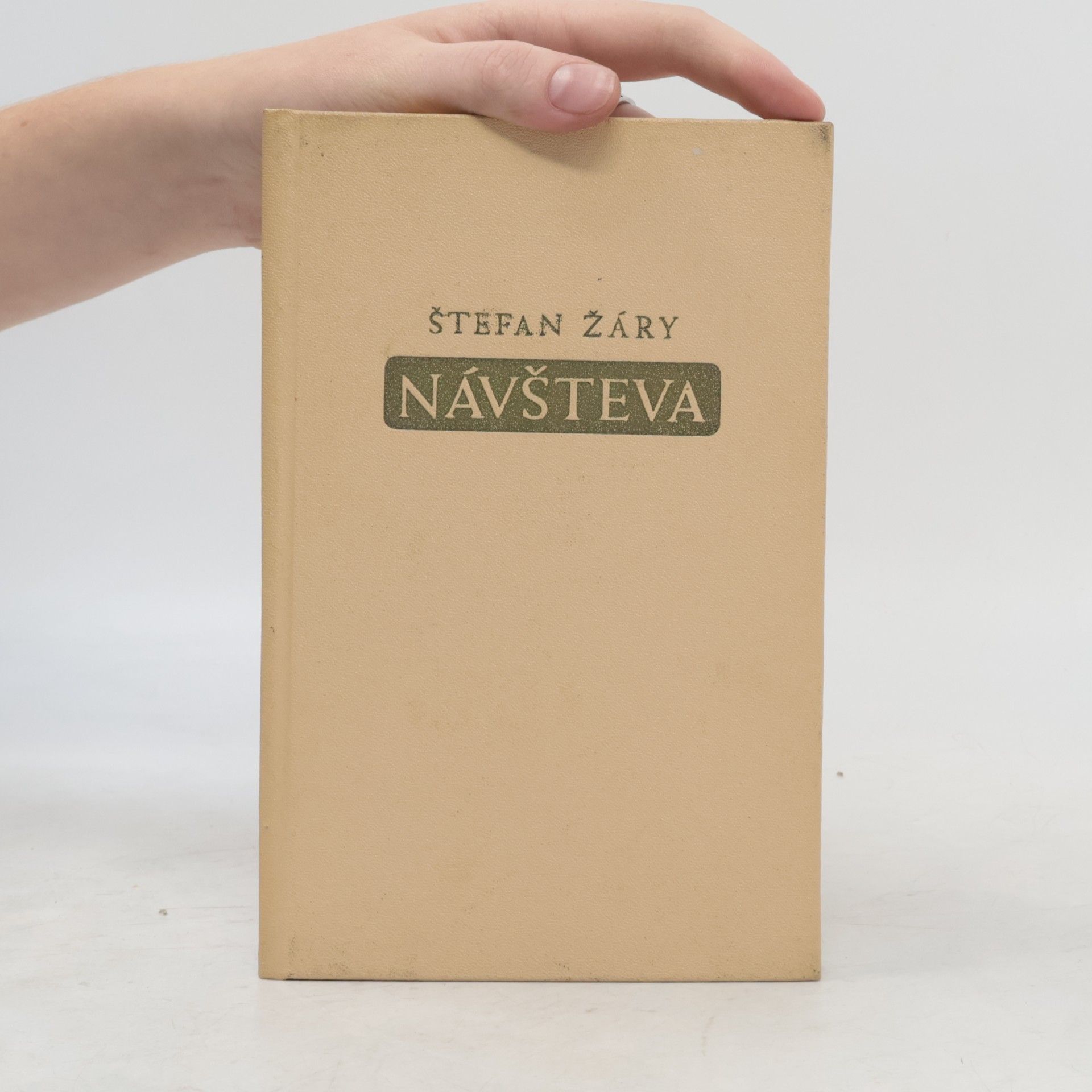 Štefan Žáry Návšteva