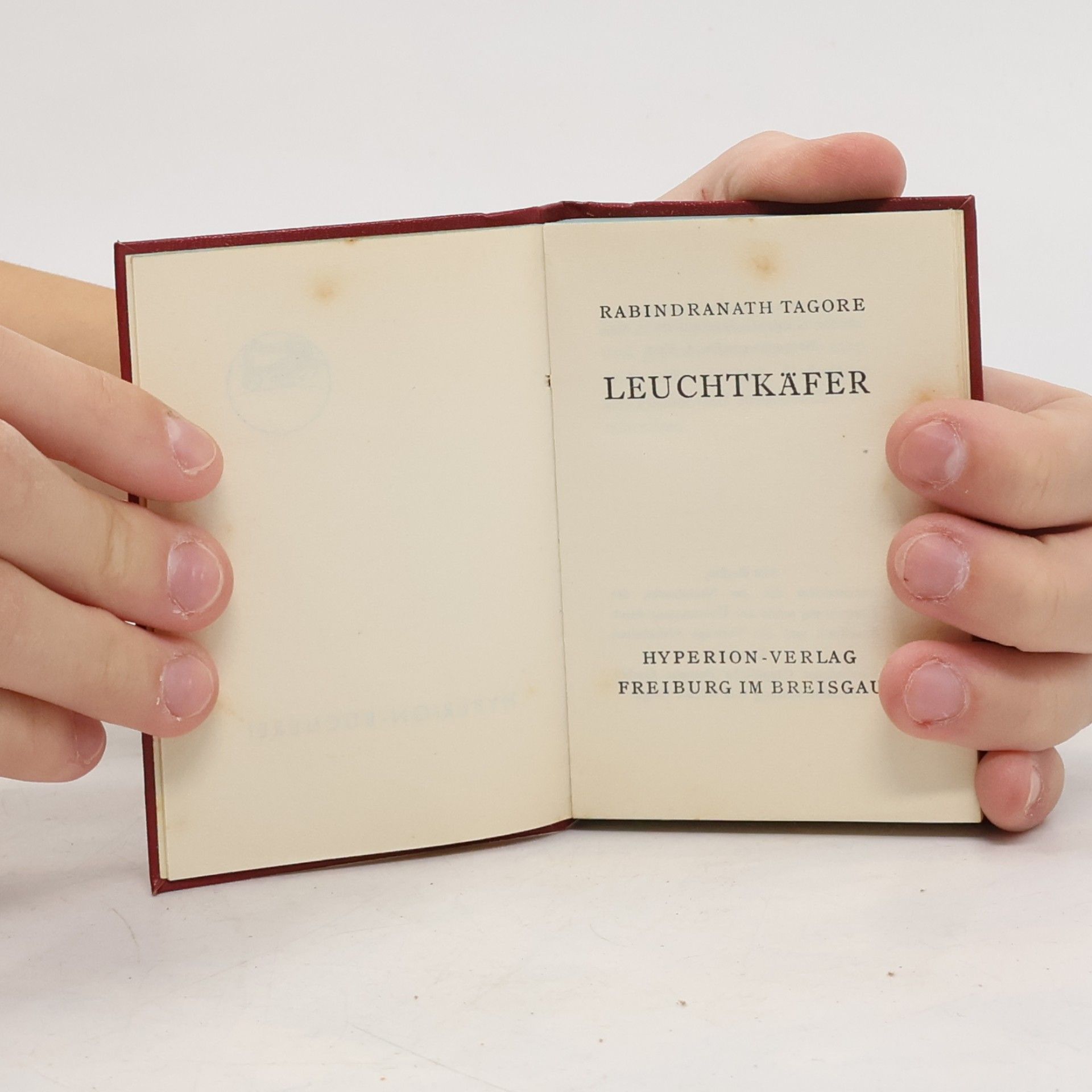 Rabindranath Tagore Leuchtkäfer