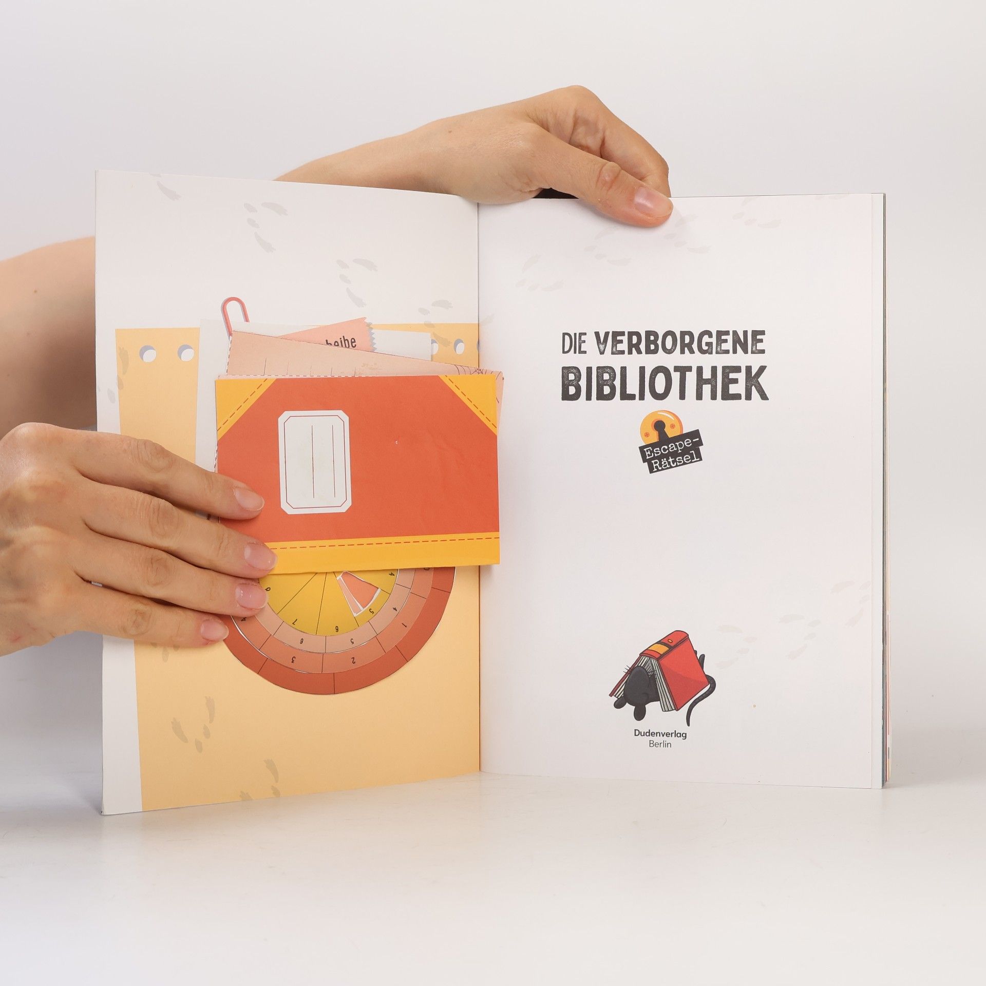 Janine Eck Escape-Rätsel - Die verborgene Bibliothek