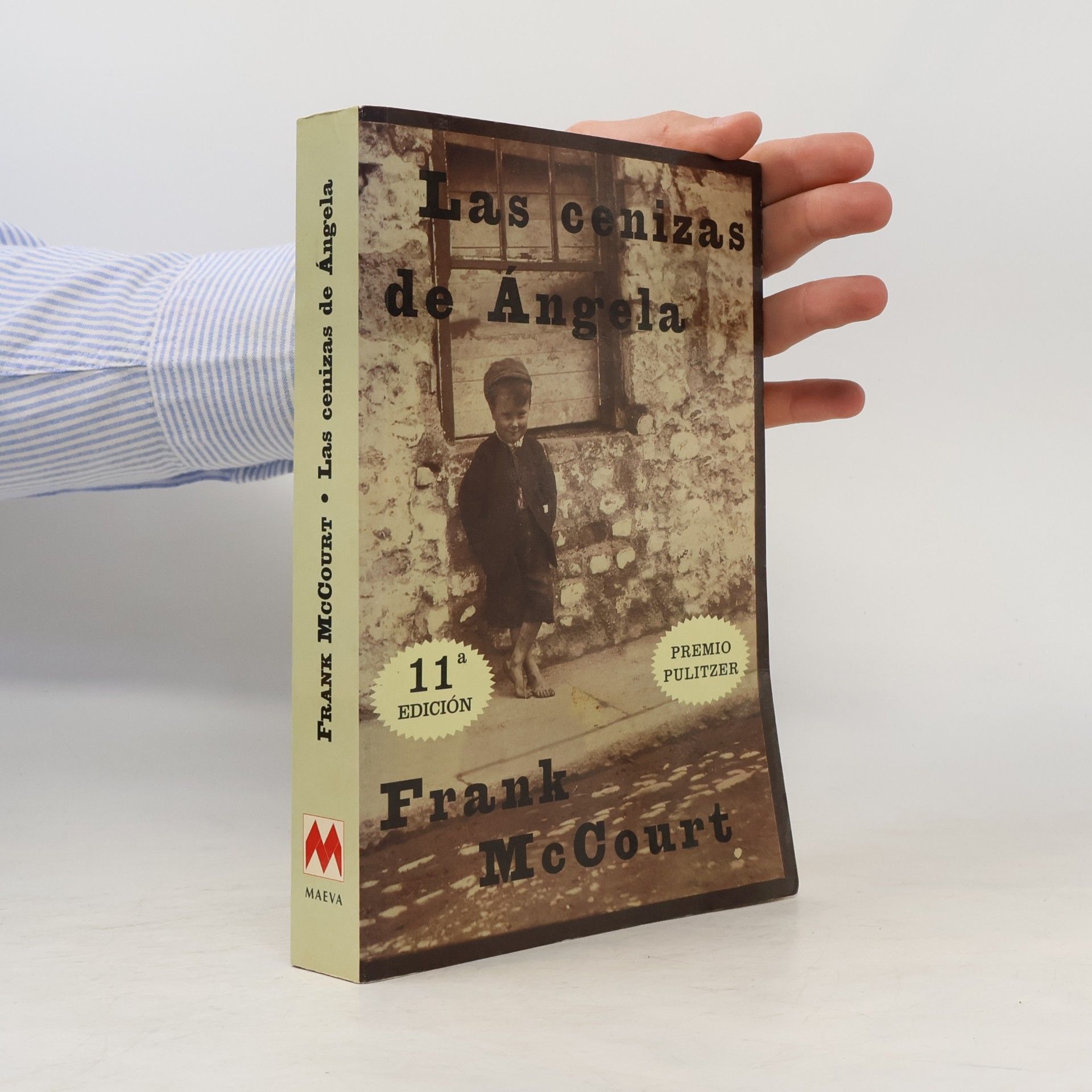 Frank McCourt Las cenizas de Ángela