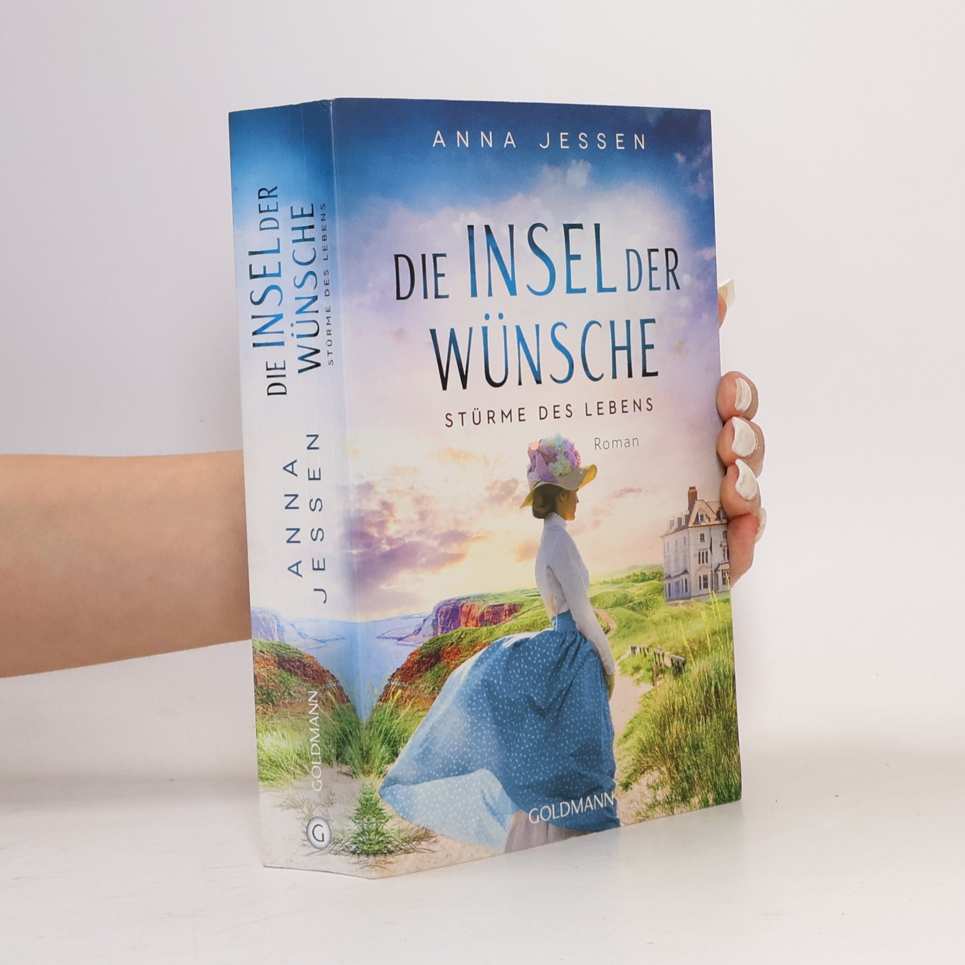 Die Insel der Wünsche - Stürme des Lebens