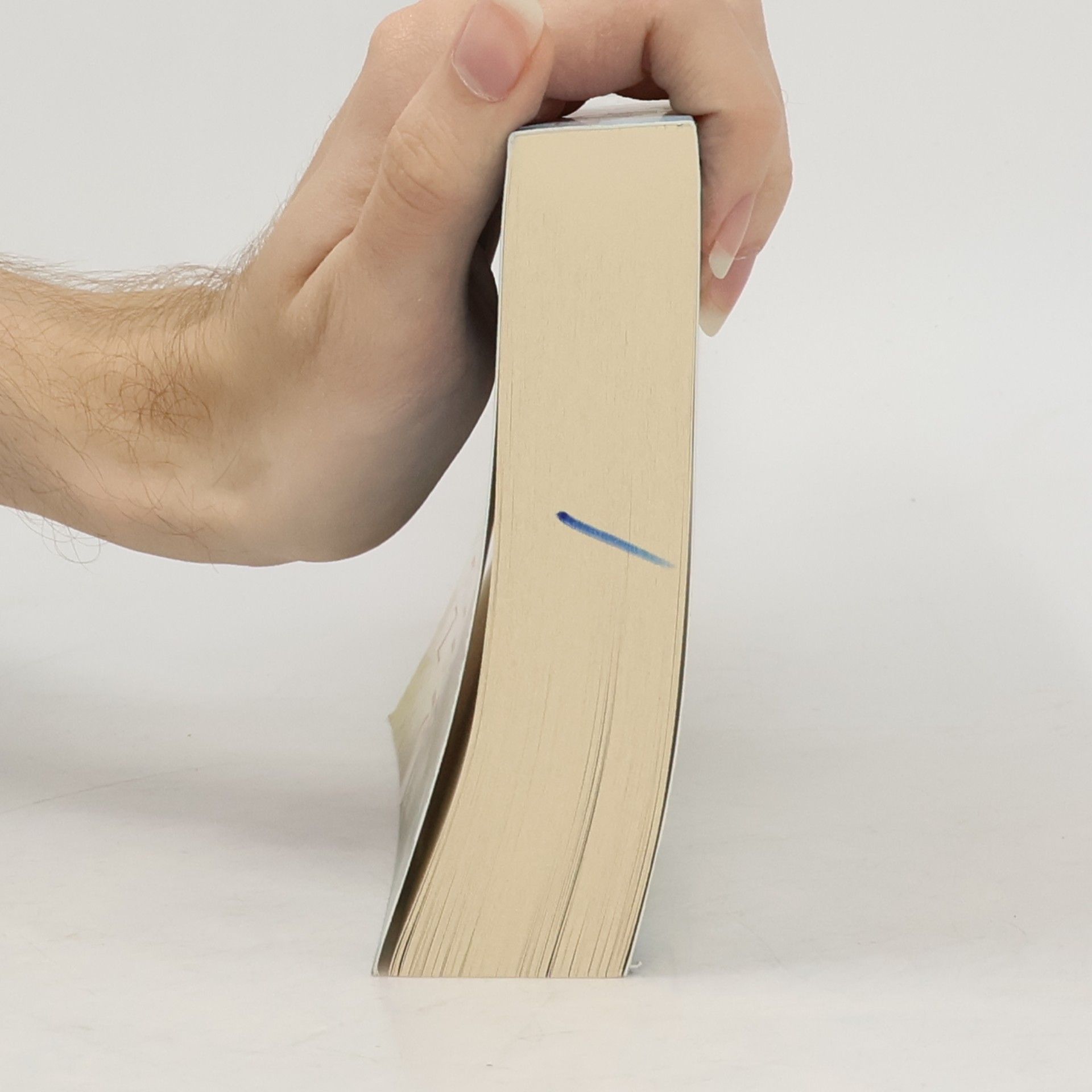 Marie Adams Die Bibliothek der zweiten Chancen