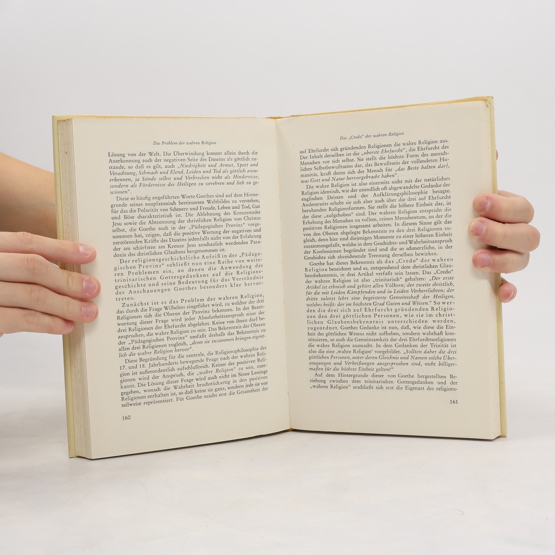 Peter Meinhold Goethe zur Geschichte des Christentums