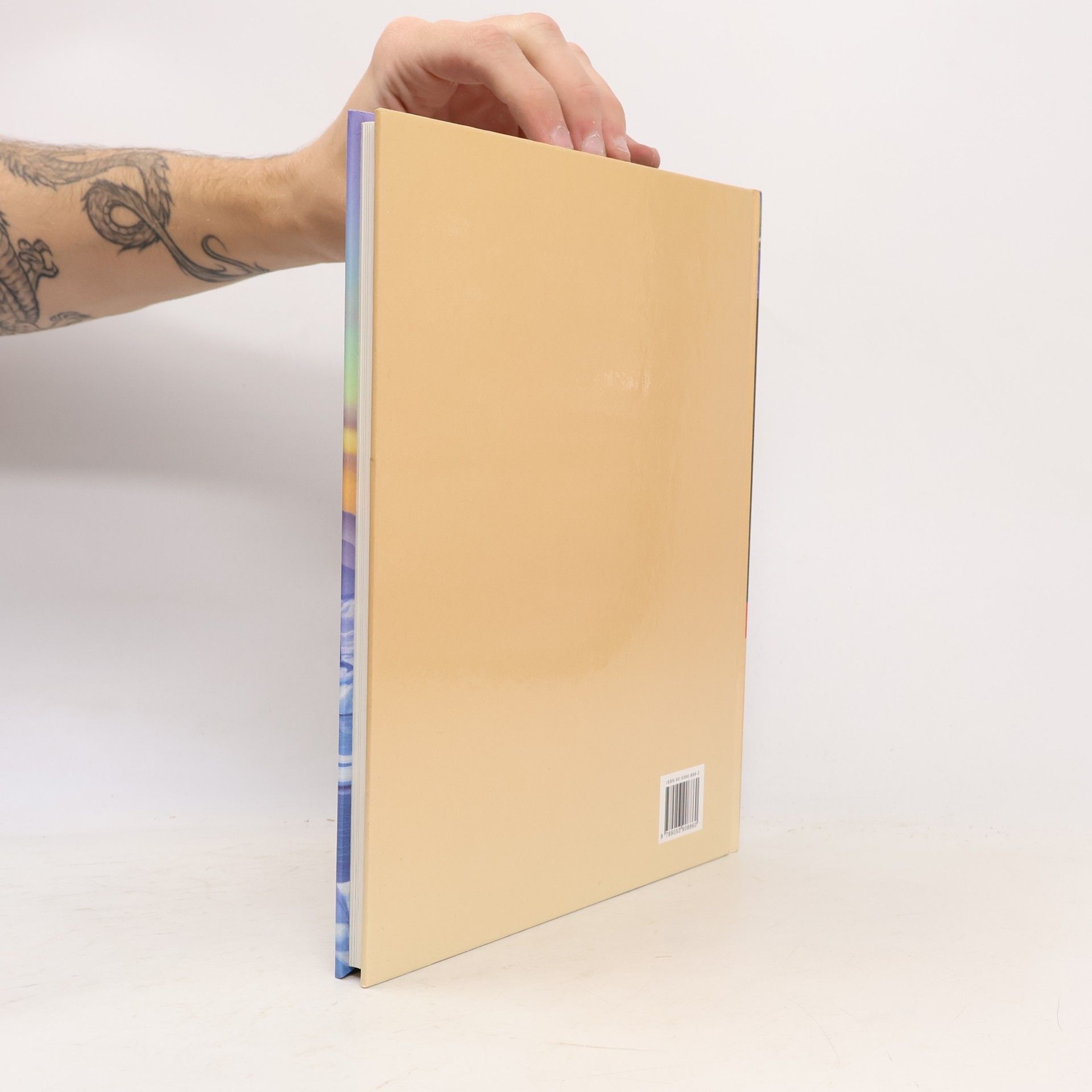 Marianne Tölle Geografie