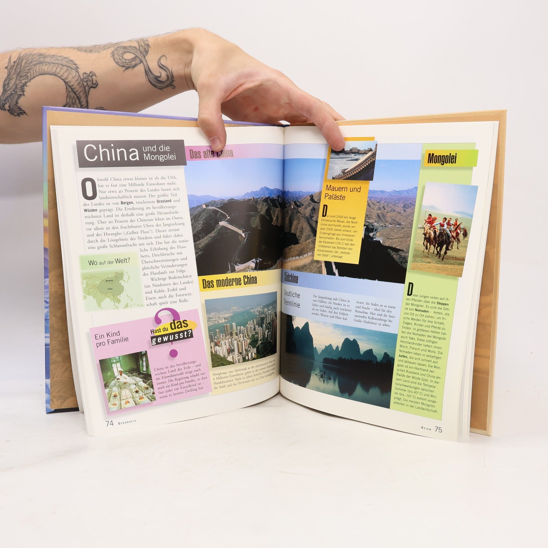 Marianne Tölle Geografie