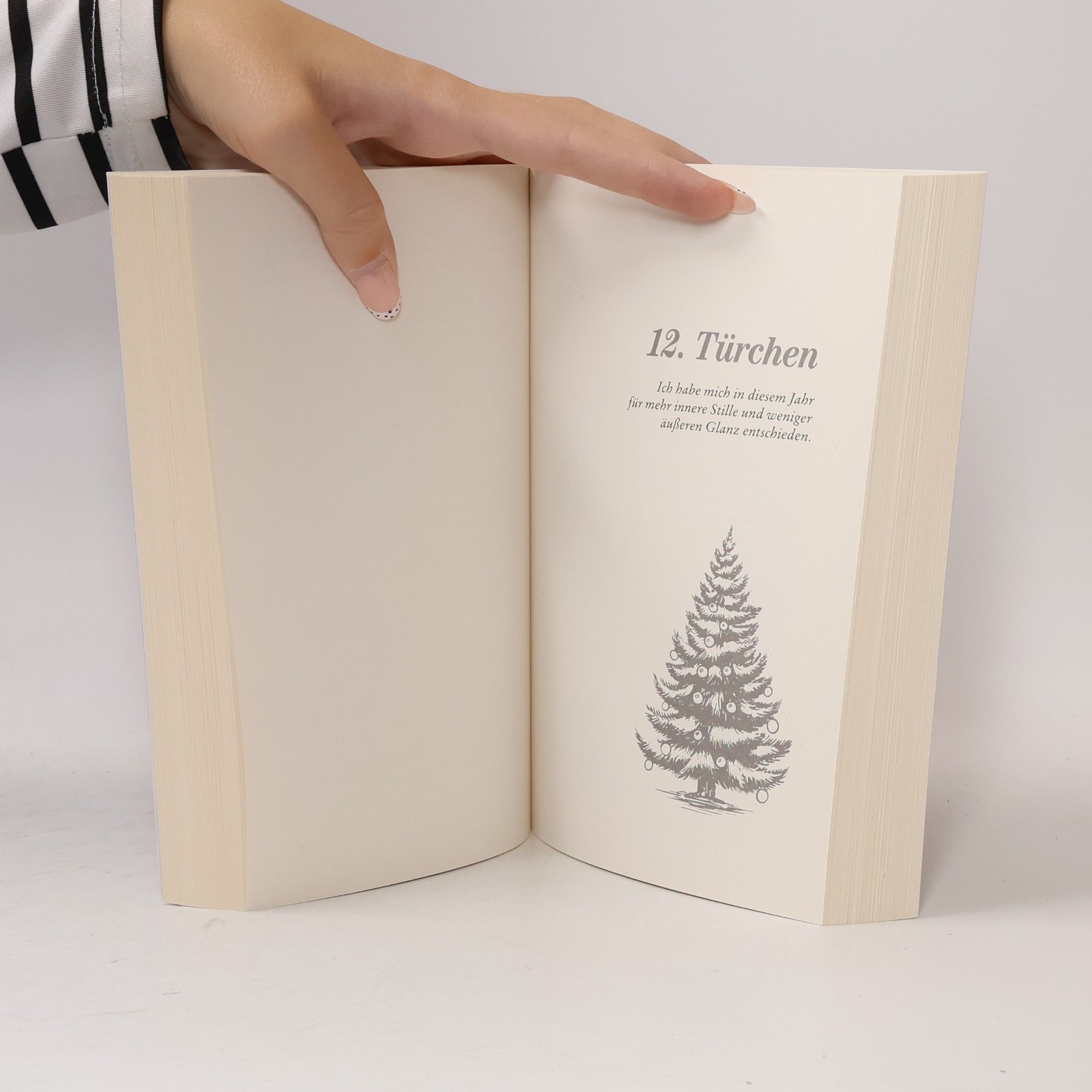 Andrea Salmen Meine zauberhafte Weihnachtsreise