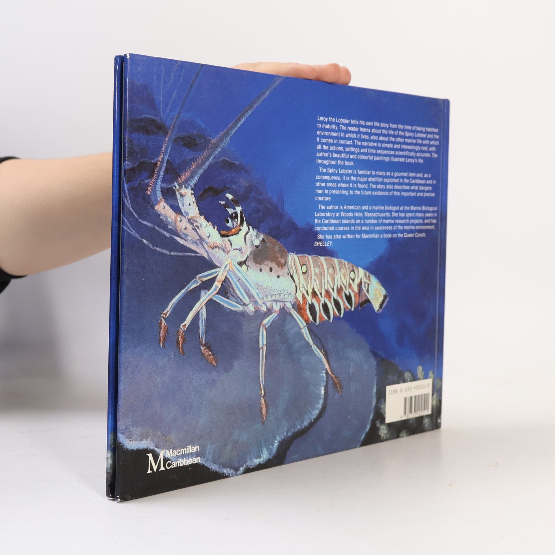 Katherine Orr Leroy the Lobster