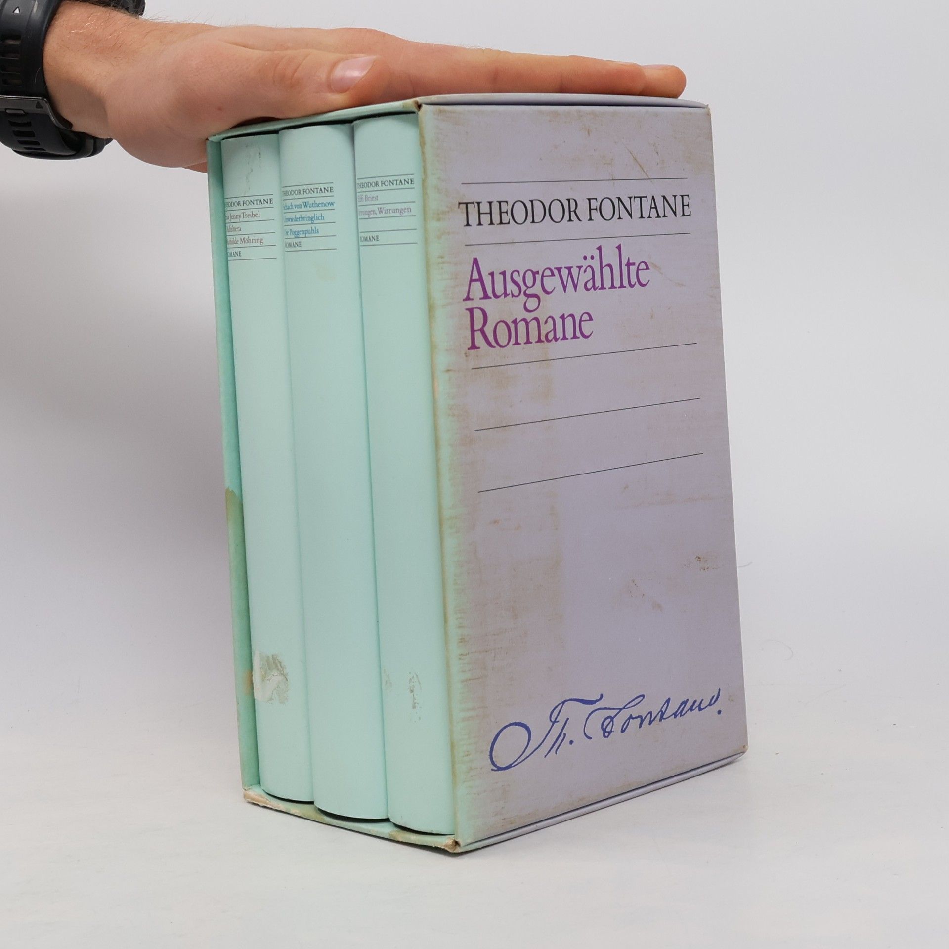 Theodor Fontane Ausgewahlte Romane