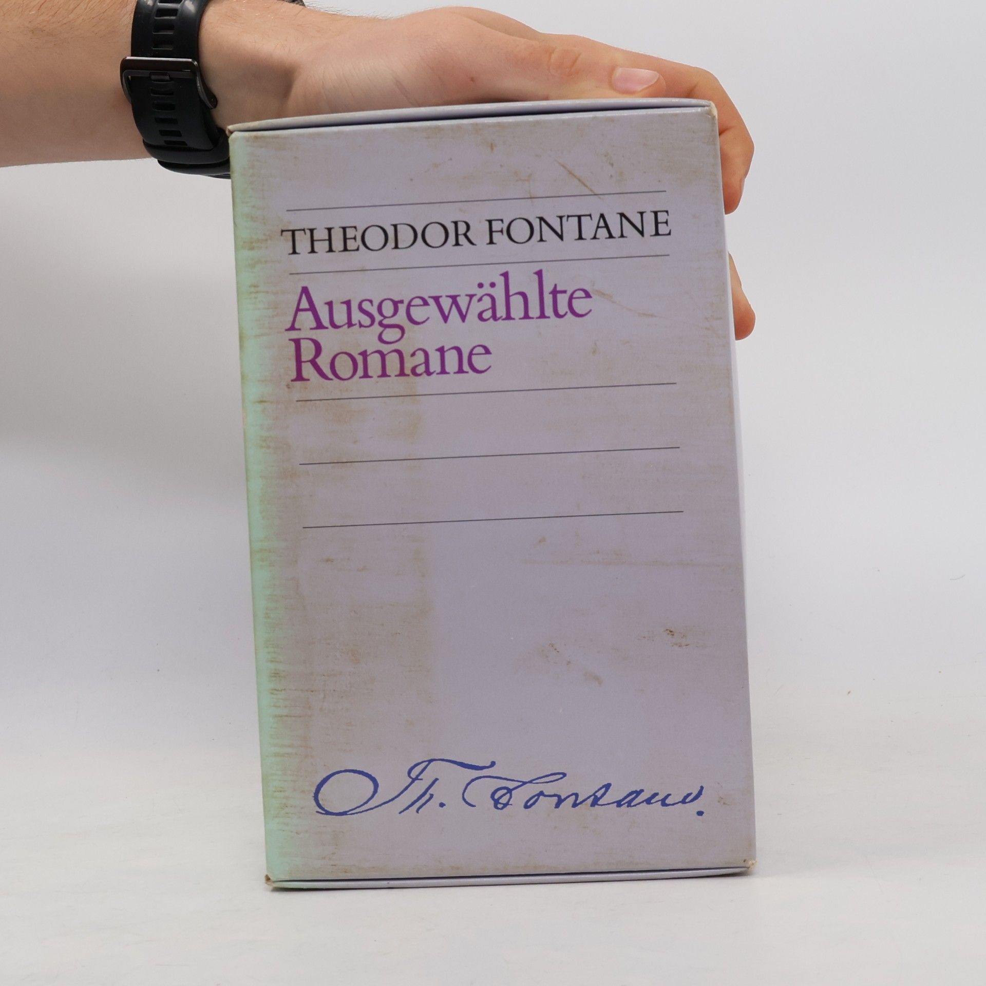 Theodor Fontane Ausgewahlte Romane