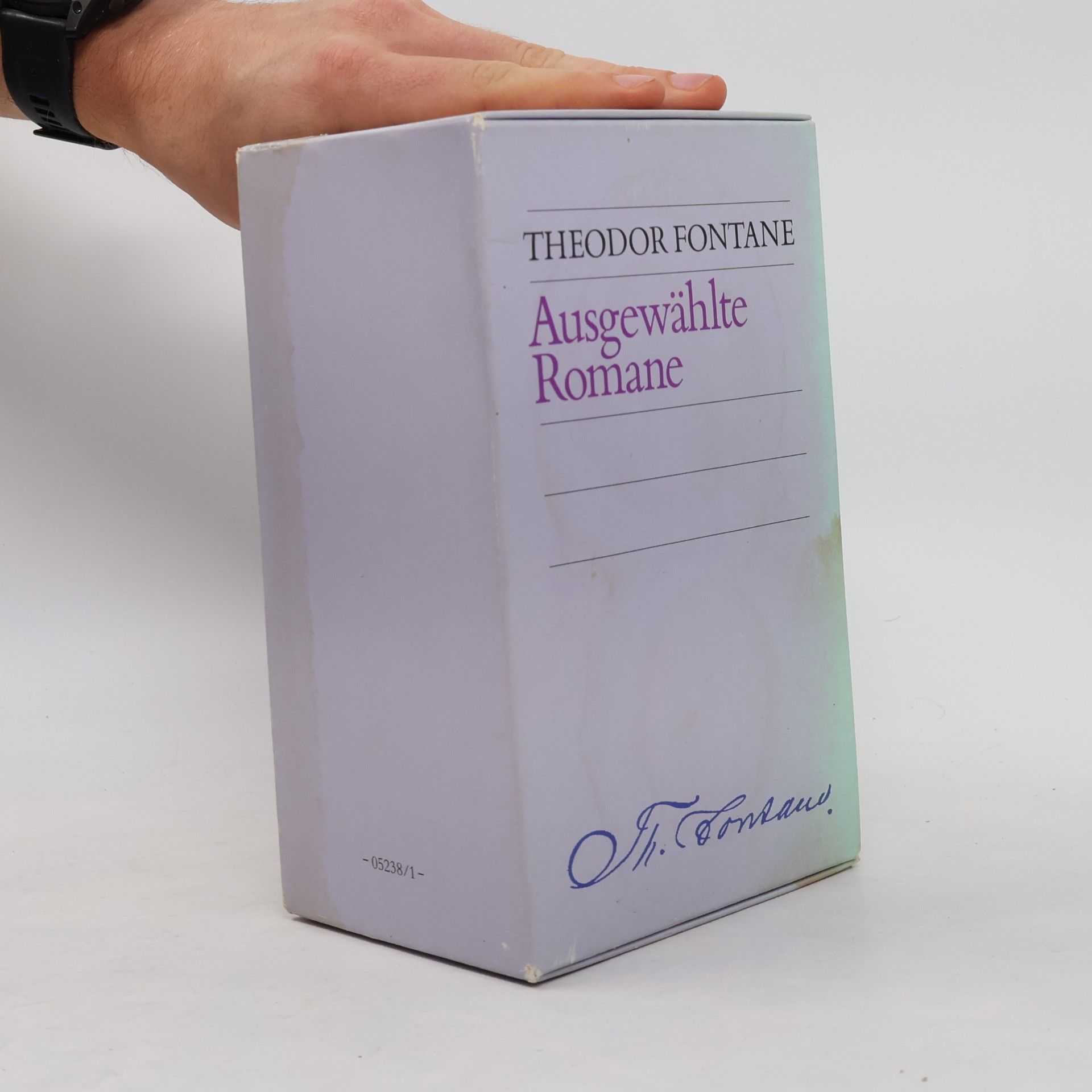 Theodor Fontane Ausgewahlte Romane