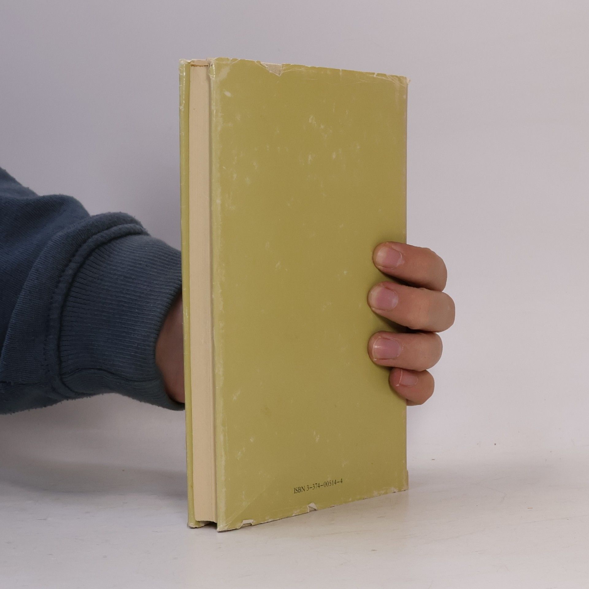 Alfred Otto Schwede Die Kierkegaards