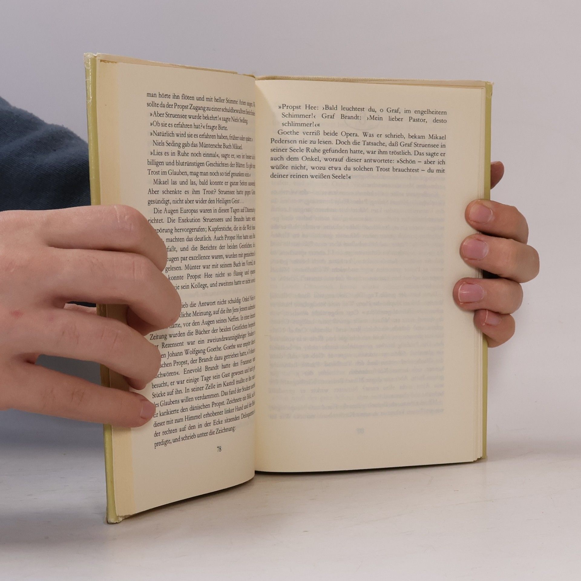 Alfred Otto Schwede Die Kierkegaards