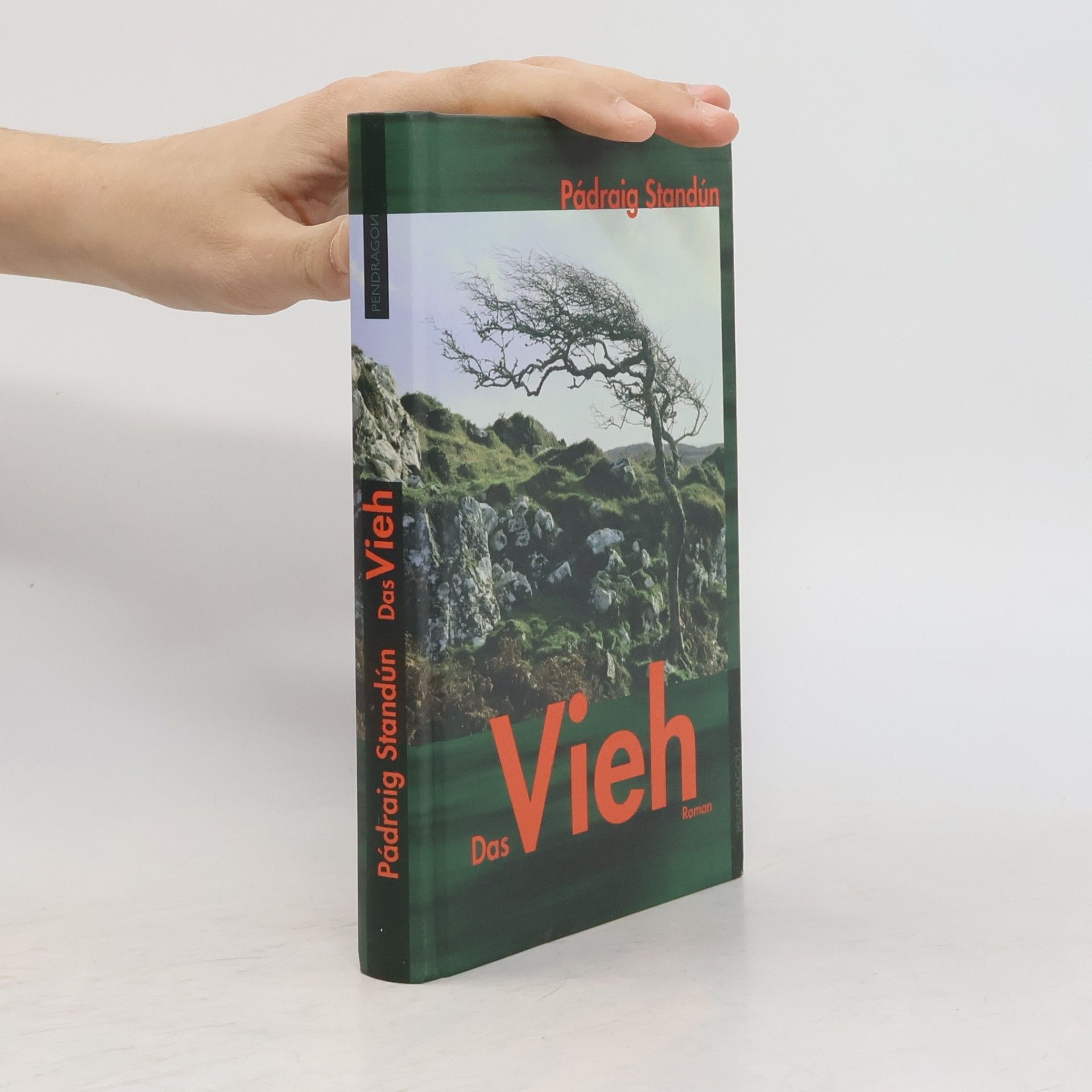 Pádraig Standún Das Vieh: Übertr. aus d. Irischen v. Gabriele Haefs.