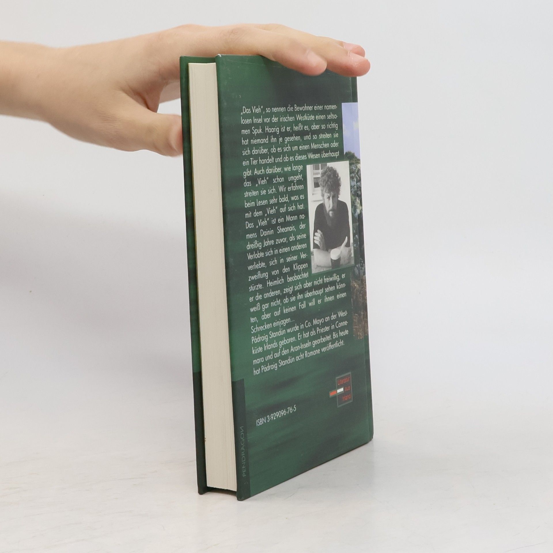 Pádraig Standún Das Vieh: Übertr. aus d. Irischen v. Gabriele Haefs.