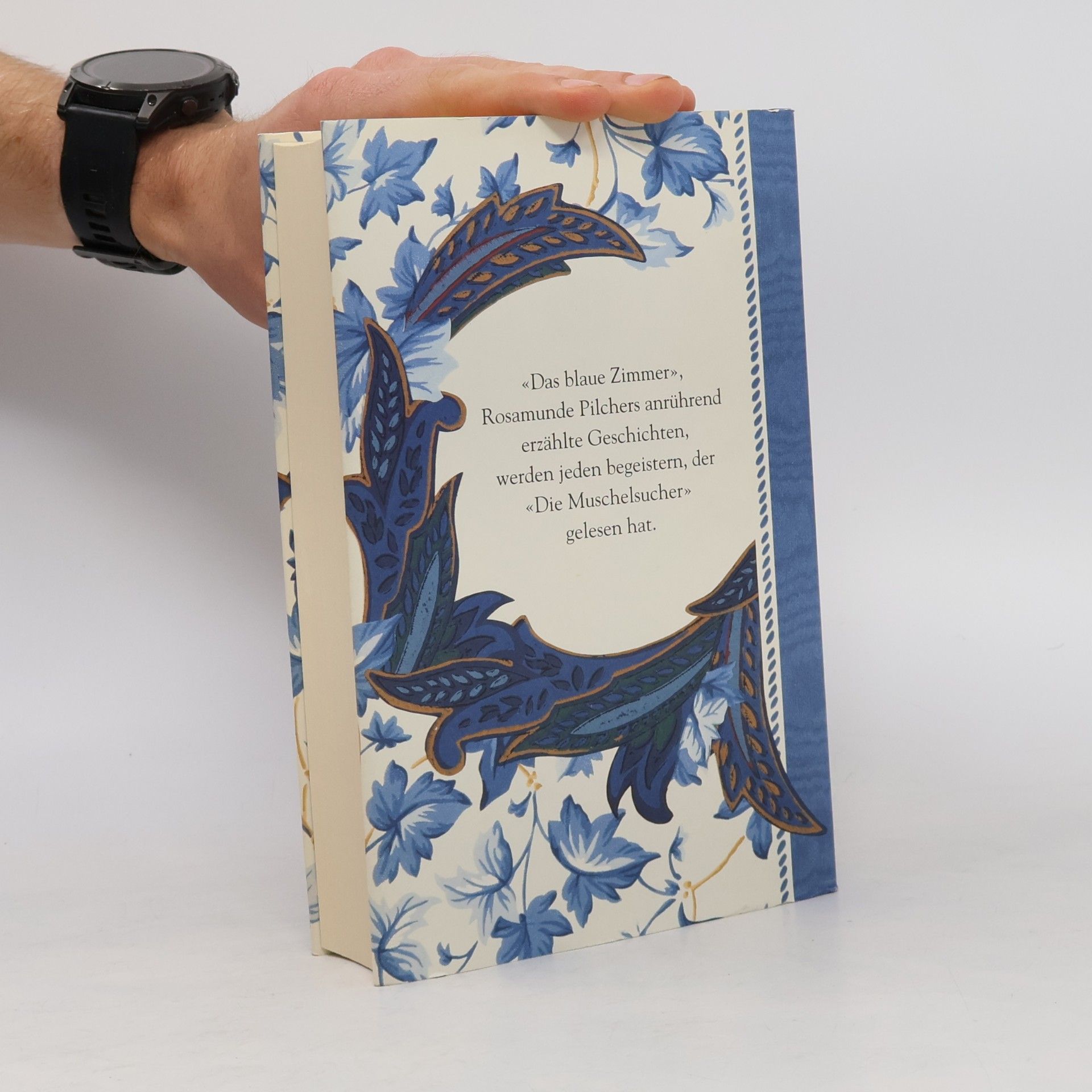 Rosamunde Pilcher Das blaue Zimmer