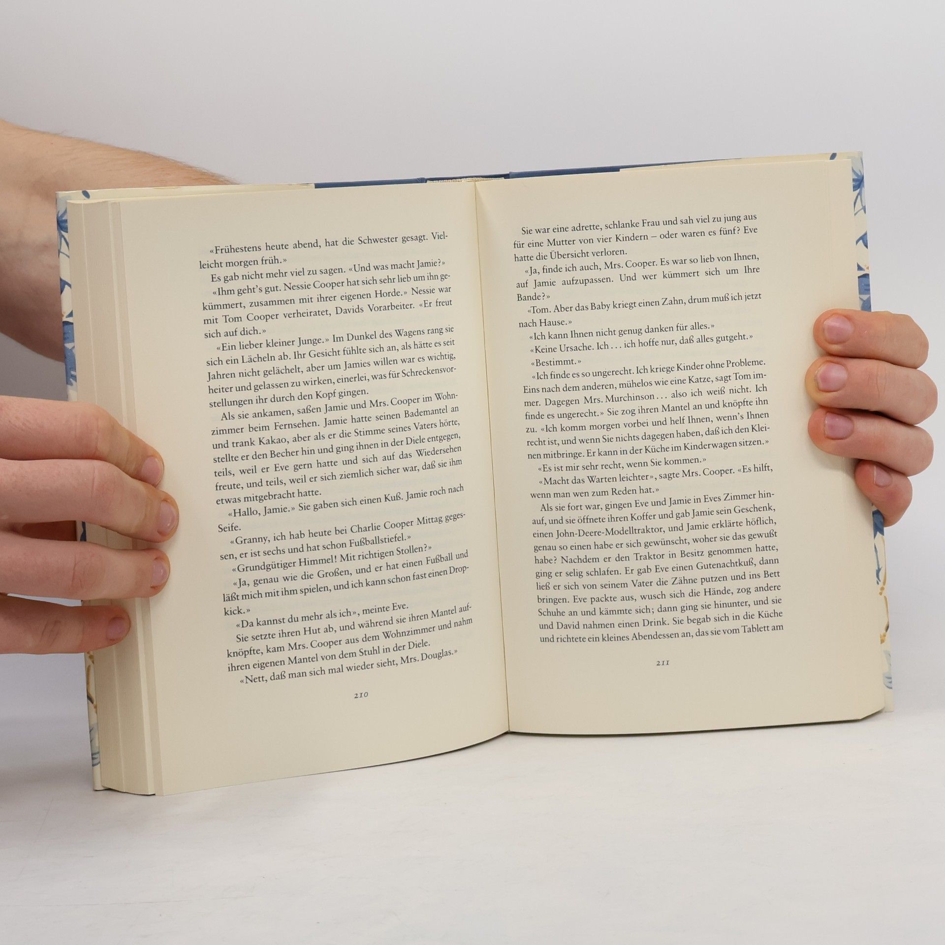Rosamunde Pilcher Das blaue Zimmer
